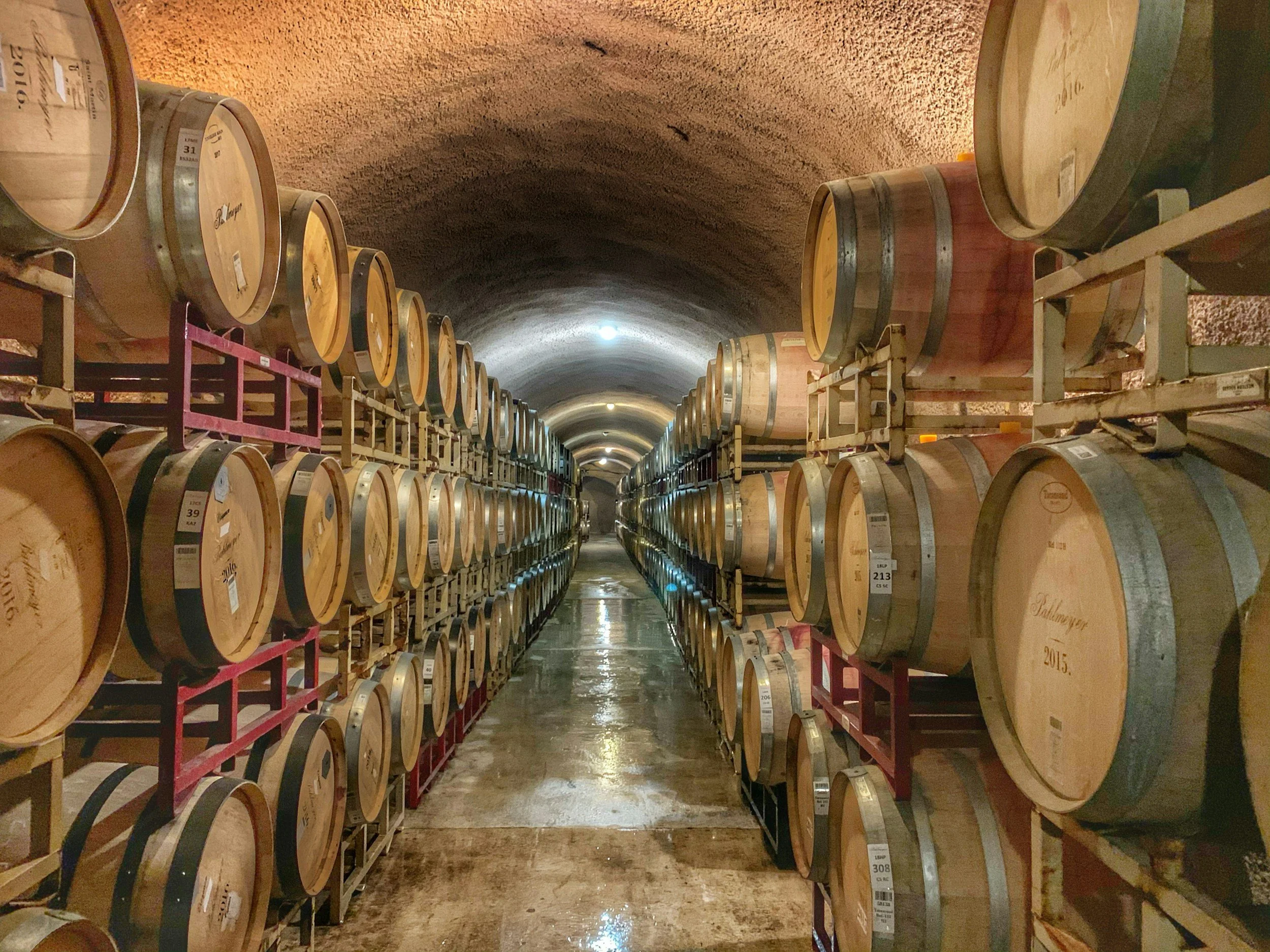 Wine barrels stored on racks inside a wine cellar or cellar tunnel.