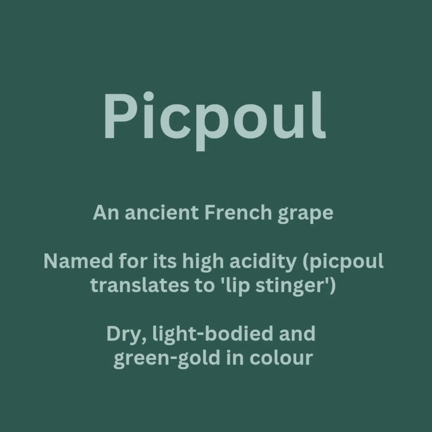 Picpoul or piquepoul. Ever heard of it? Tried it? We have the Mr Brightside from @mrriggswineco get it in our pack with their Ros&eacute;. Try it if you like sauvignon blanc, pinot grigio or any other crisp, easy-drinking white wine
.
.
#theforestvin