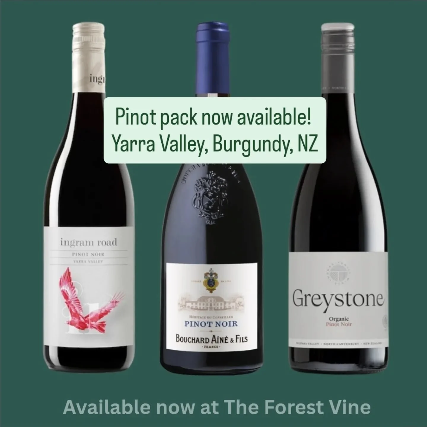 This pinot pack has the variety from around the world! Starting with Ingram rd from @helenshill_ them @bouchard_aine_fils and finishing with @greystonewines 
Now available! 
.
.
#theforestvine #pinotnoir #burgundy #yarravalley #northcanterbury