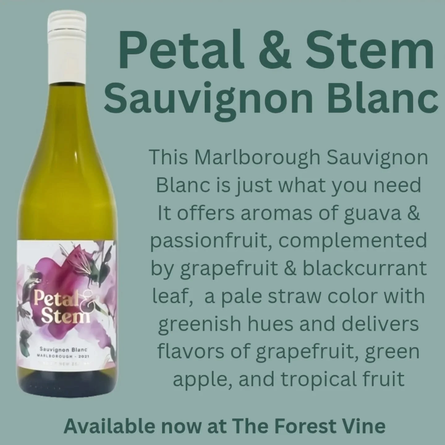 This Sauvignon Blanc is your everday drinking wine! Open now and drink whenever you are thirsty 😋 Available now!
.
.
#theforestvine #petal&amp;stem #Marlborough #sauvignonblanc