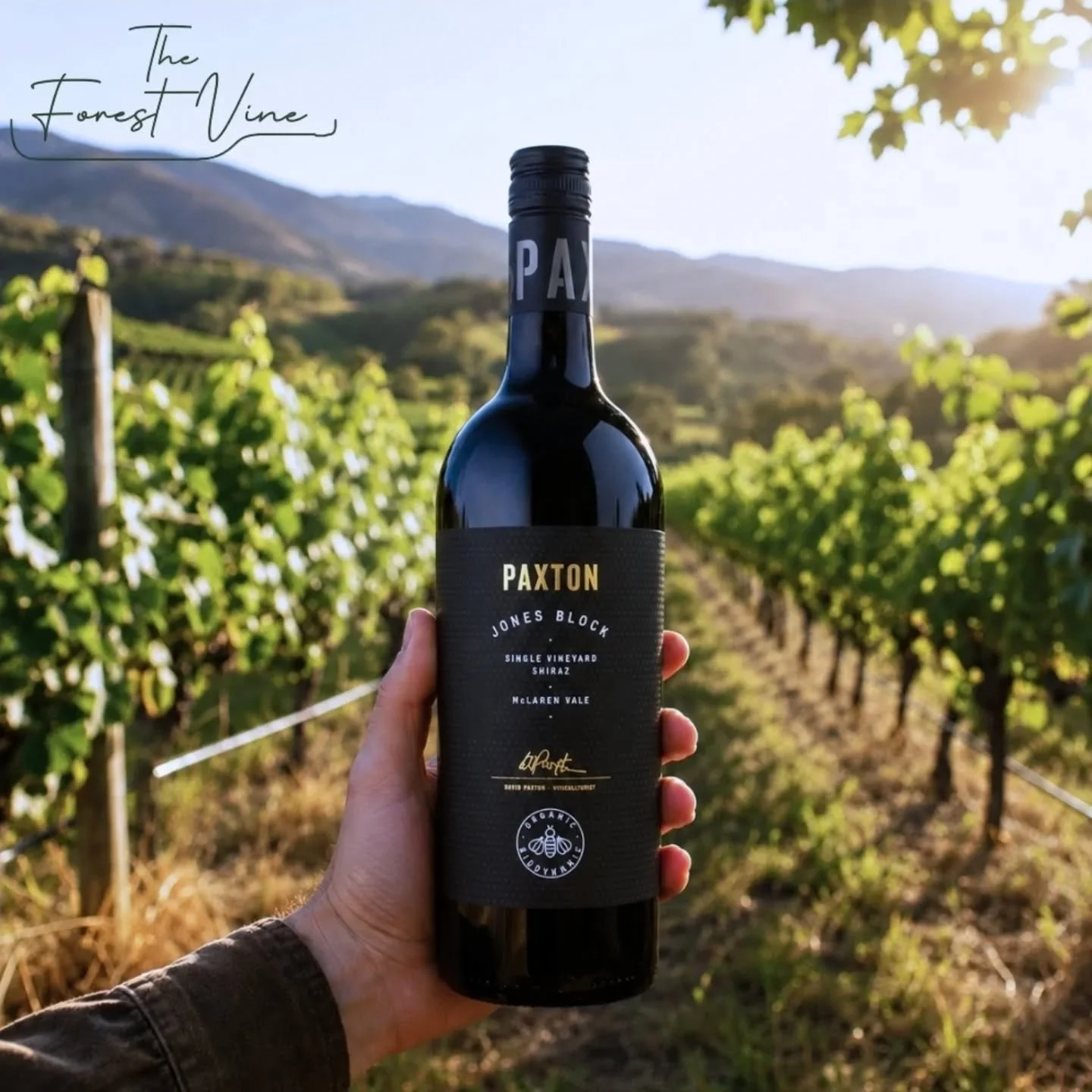 Great day to crack a @paxton.wines Jones Block! 
Now available online! Free local delivery 
.
.
#theforestvine #jonesblock #shiraz #mclarenvale #freelocaldelivery