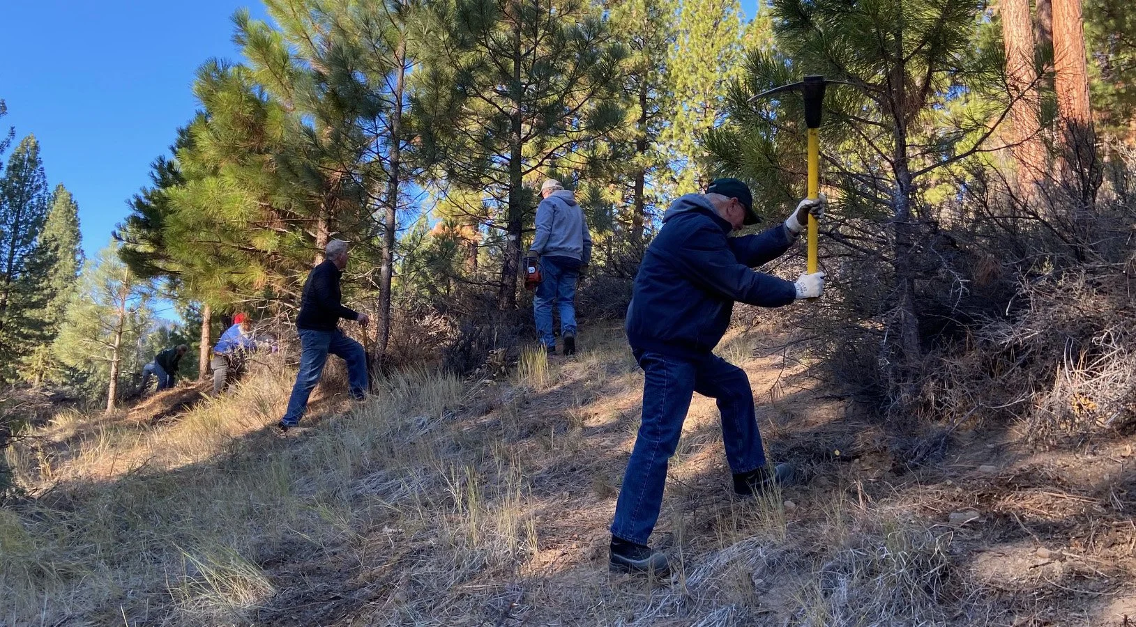 People working in a forest, one person using a pickaxe, others walking along a slope among trees and dry grass.