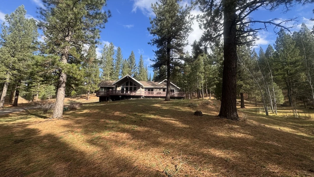 A house on a hill surrounded by tall pine trees under a blue sky with some clouds.