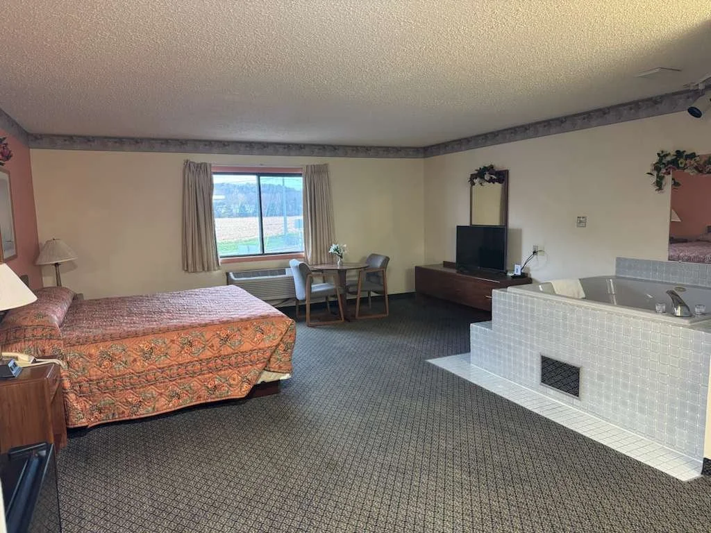 Hotel room with a bed, small table with two chairs, television on a stand, and a whirlpool tub separated by a partial wall, with a window showing an outdoor view.