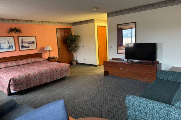 Hotel room with a bed, bedside lamp, paintings, a plant, a TV on a wooden stand, a window, and a blue armchair.