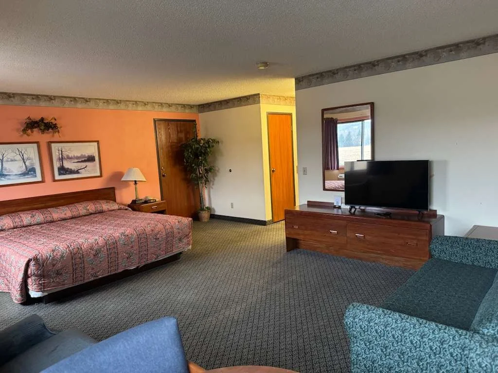 Hotel room with a bed, side table, TV on a wooden stand, and a window with a view of trees.