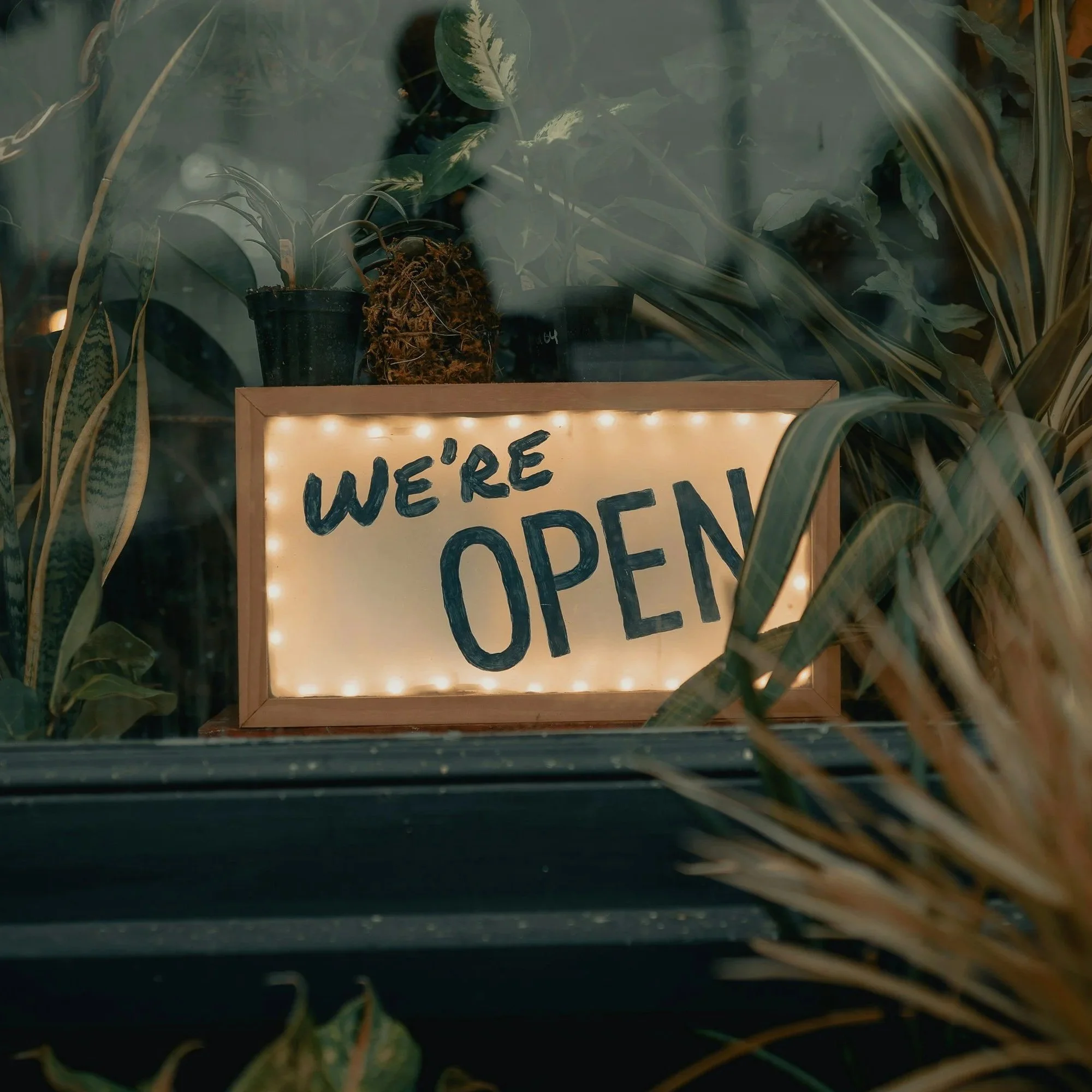 A lit signboard displays the message 'WE'RE OPEN' surrounded by indoor plants.