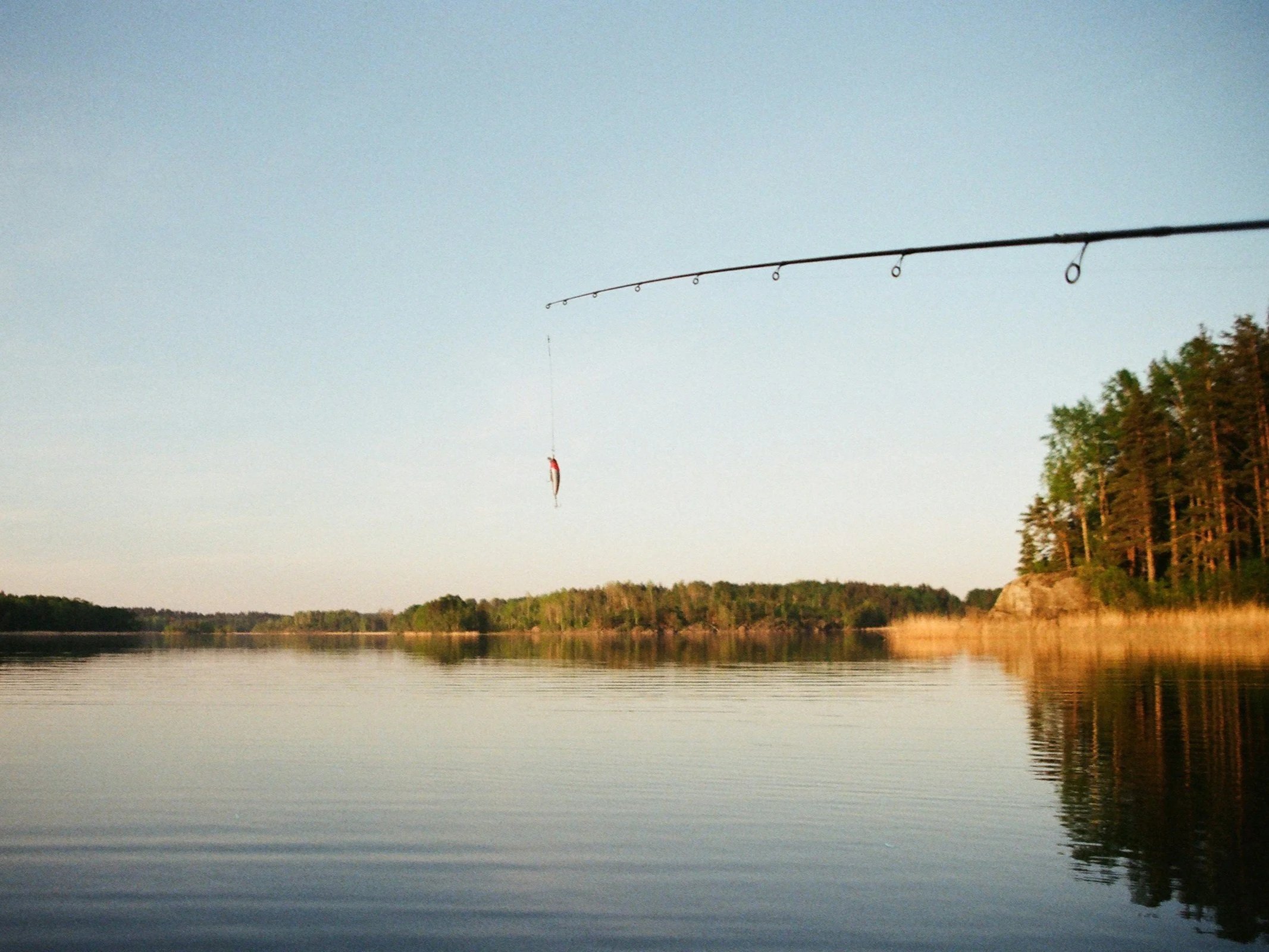 A fishing rod extended over a calm river with trees along the shoreline, and a fish caught on the line.
