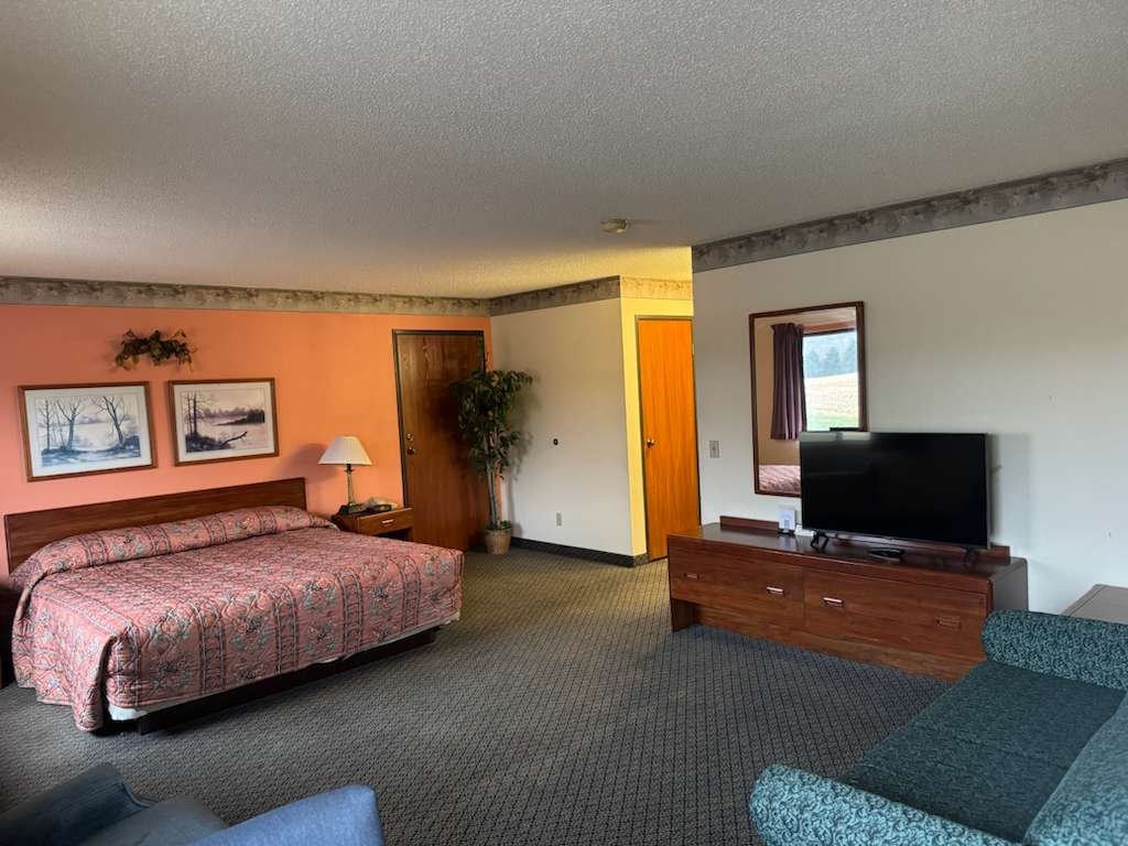 Hotel room with a bed, a nightstand with a lamp, a TV on a wooden stand, a mirror, a sofa, and a window showing a grassy outdoor area.