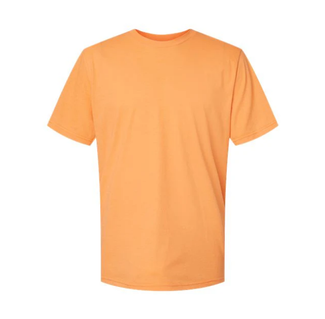 Screenshot 2025-11-09 at 12-23-23 Adult T-Shirts – Vinyl Supply Unlimited.png