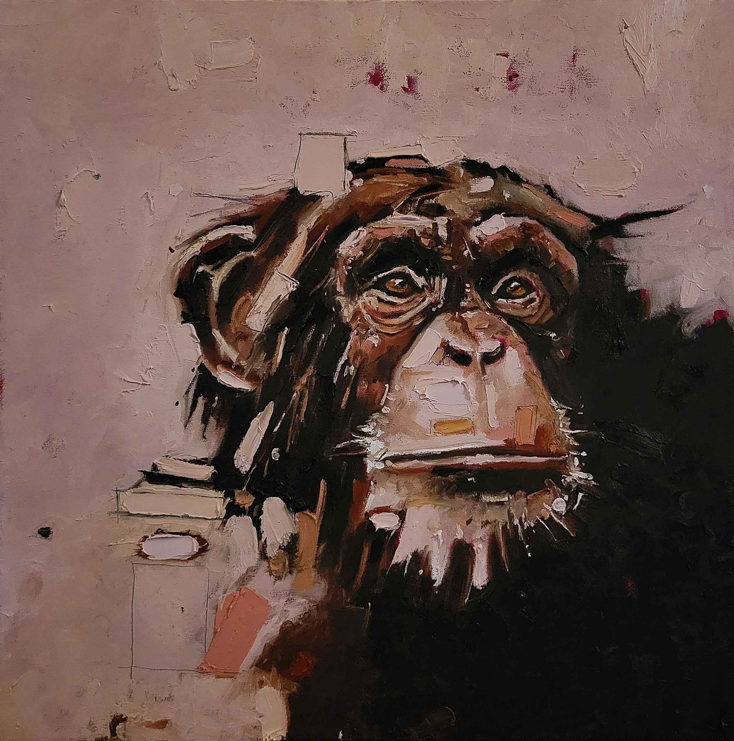 Pink Chimp, oil (24" x 24")