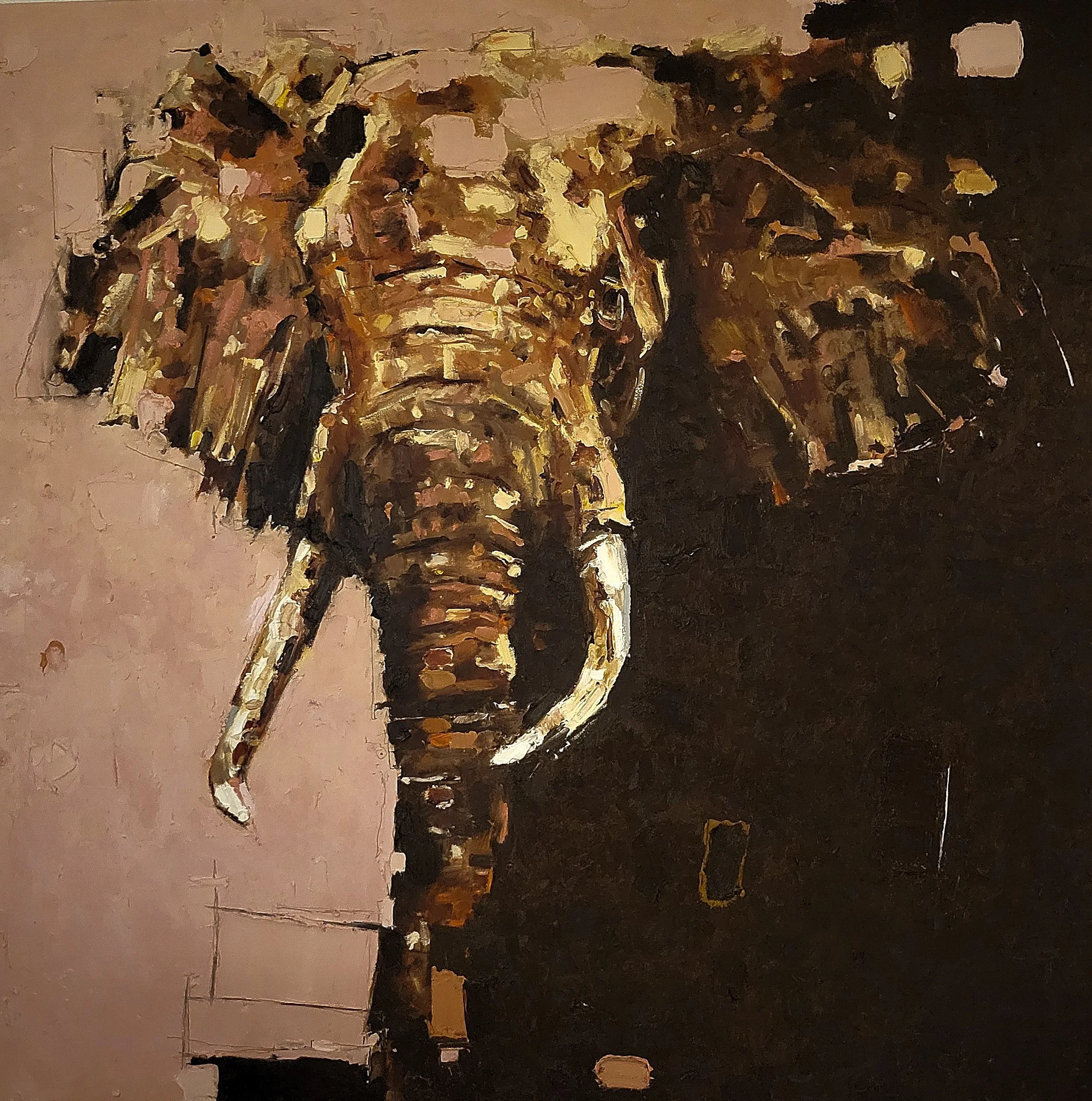 Pink Elephant, oil   (48" x 48")