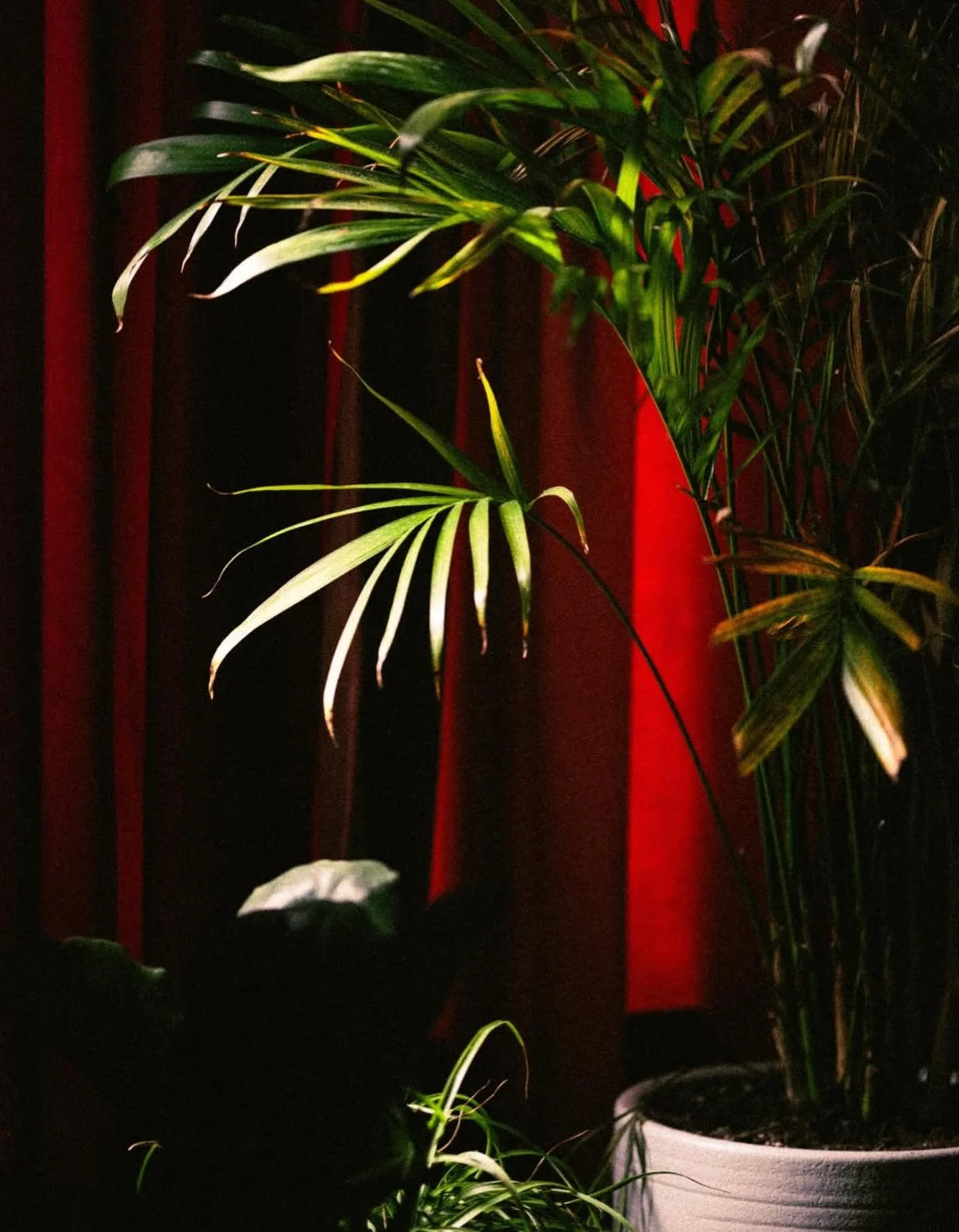 ✨Wednesday, February 18✨
Closed 5pm to 8pm for SOLD OUT @maconcraftclub 
*see link in bio for wait list 

The bar will be back open normal for all non-crafters after the event ends, 8 pm until 12am. 

📷 @stephncook 

#downtownMacon #crafting #choose