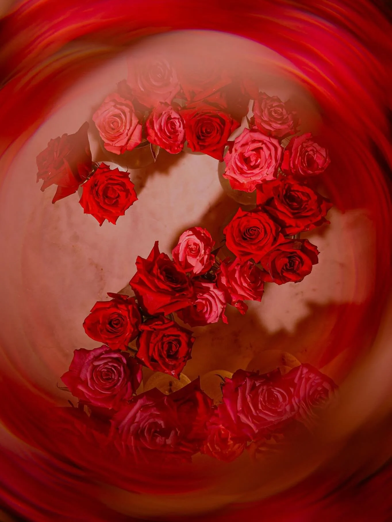 ✨It&rsquo;s our 2 Year Bar-versary! So of course we needed double the fun to celebrate The Rose Room doors being open since 2024✨

Wednesday April 22 

🌹3:30pm Ribbon Cutting with Macon Regional Chamber of Commerce outside the bar, 378 2nd St.

Frid