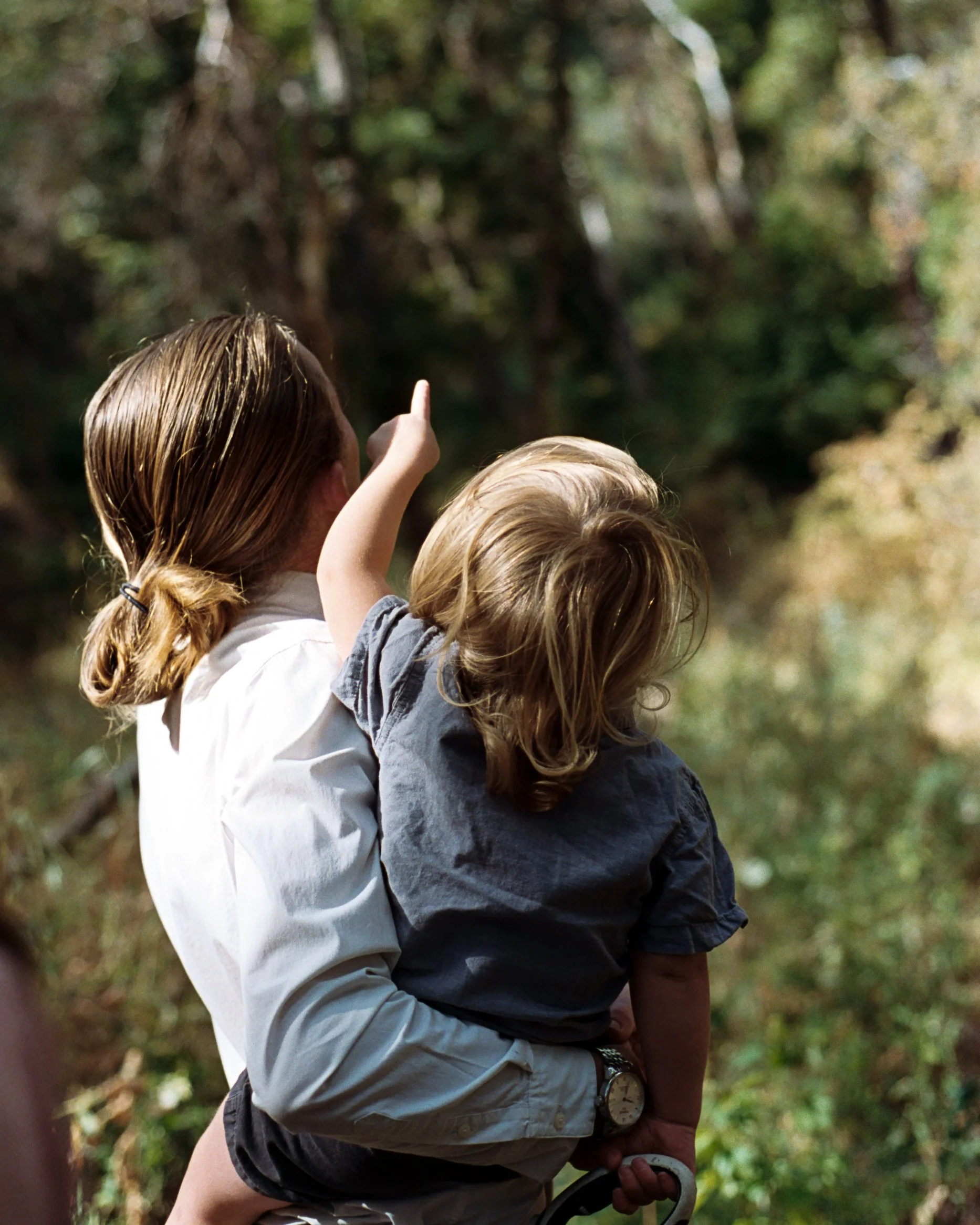 Color (C41) Development and Scanning