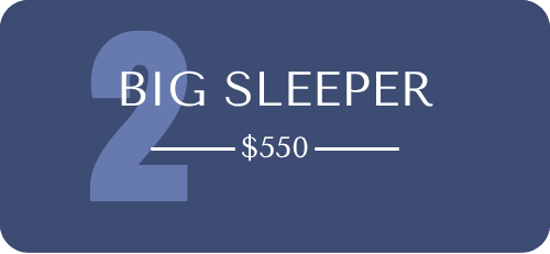 Big Sleeper 1-week sleep training program – ideal for parents seeking a guided reset to restore nap and nighttime routines. Includes a customized sleep plan, daily support texts, and coaching from Raising Sleepers.