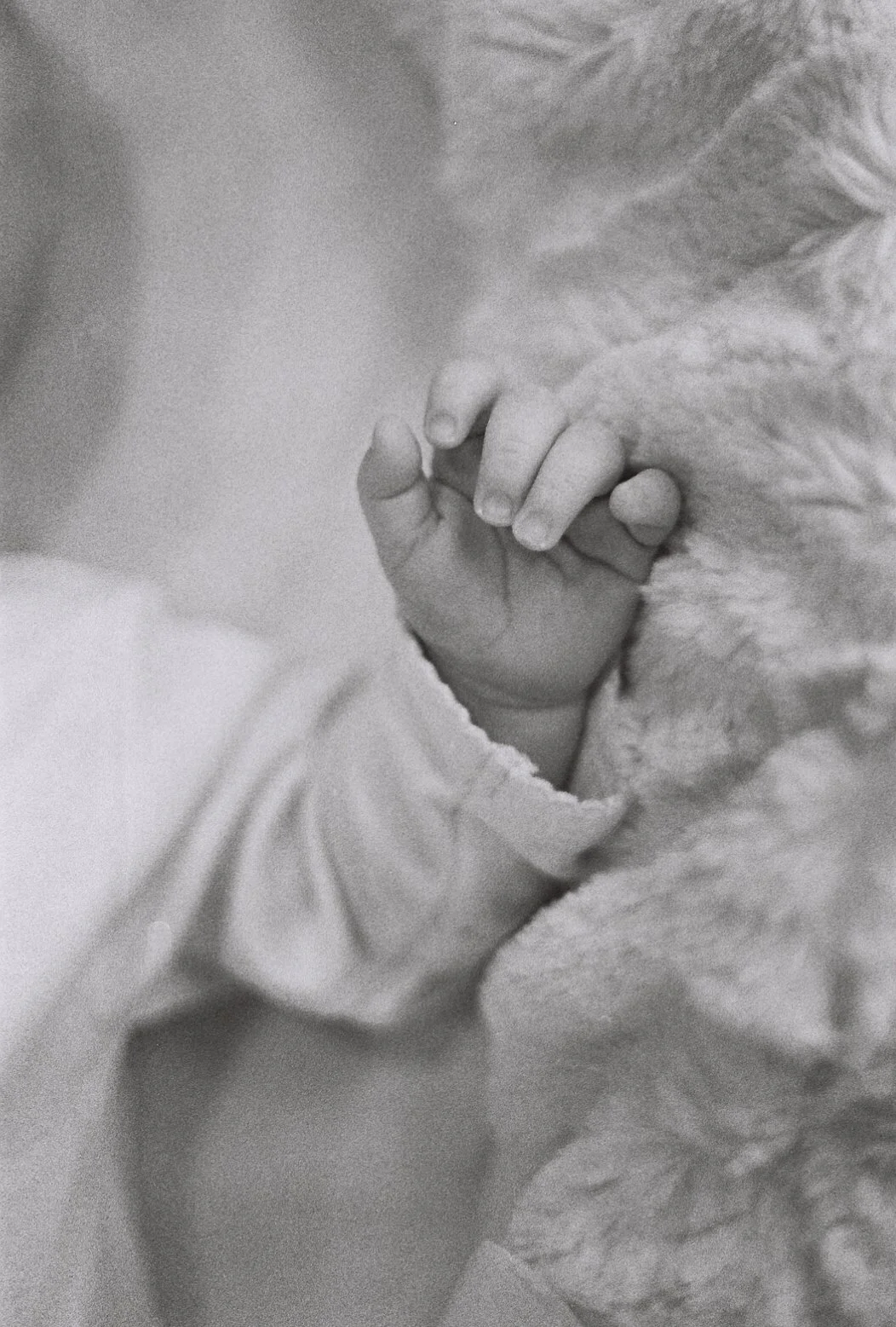 newbornphotographydallas1.jpg