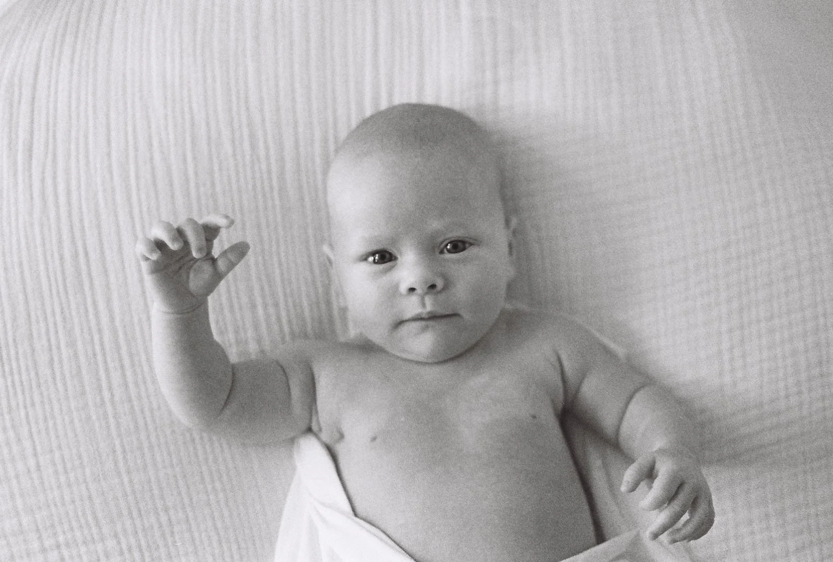 newbornphotographerdallas3.jpg