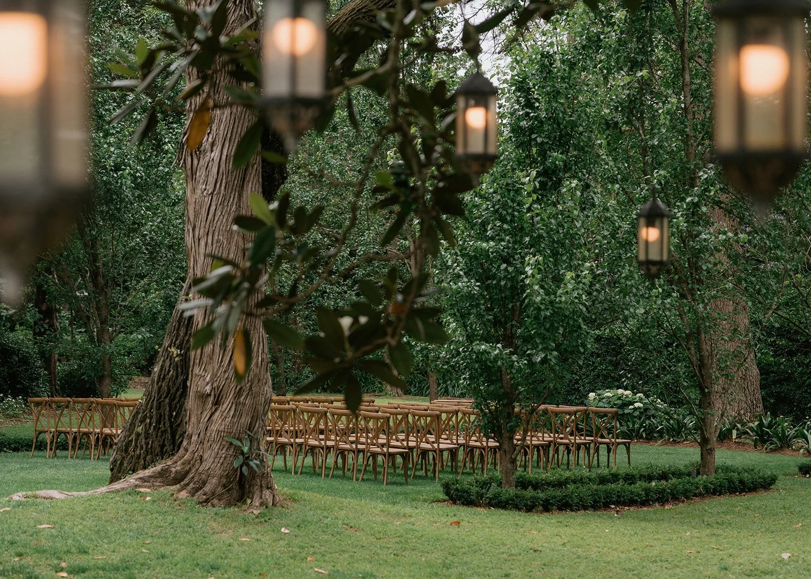 Outdoor garden setup with rows of wooden chairs arranged for an event, surrounded by green trees and foliage, with lantern-style string lights hanging overhead.