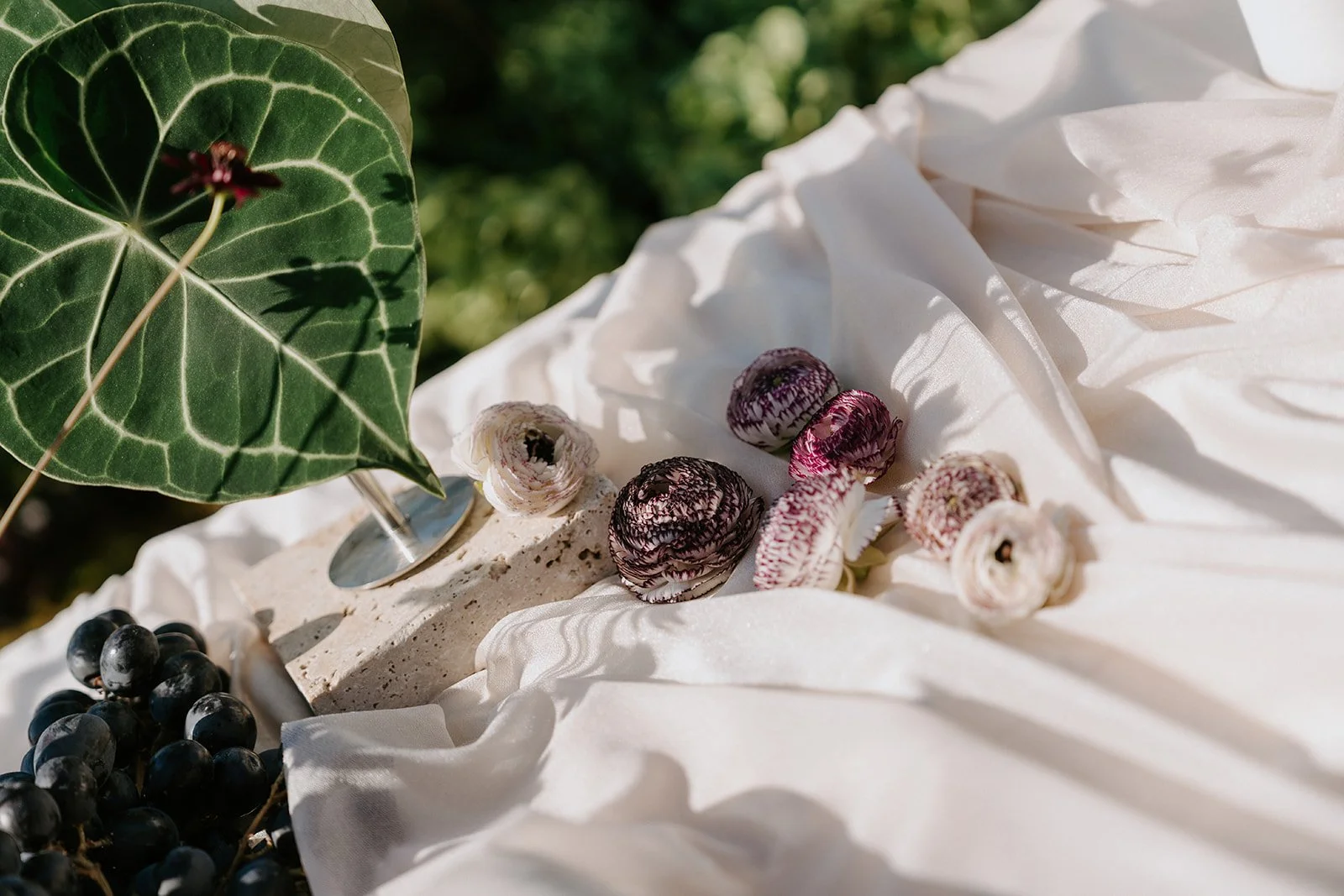 A close-up of a white cloth, a cluster of dark grapes, a green leaf with a shadow cast on it, and several small, colorful dried flowers with hues of white, pink, and purple, arranged outdoors with a blurred green background.