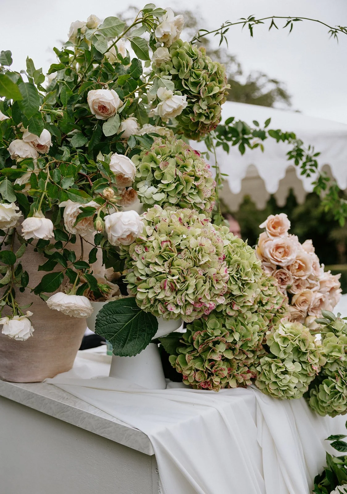 Several large arrangements of pink and green hydrangeas and white roses on a white table with a white cloth, outdoors with a white tent in the background.