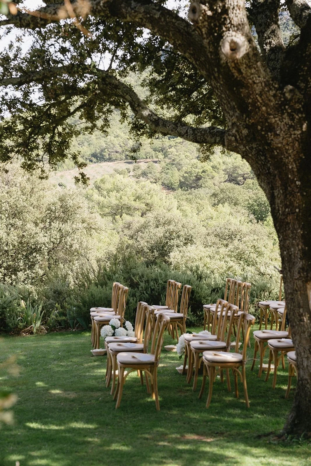 Outdoor wedding ceremony setup with wooden chairs adorned with white flowers, under a large tree with lush green surroundings and rolling hills in the background.