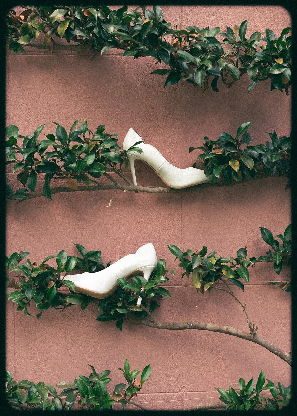 bridal-shoes-hedge-pink-wall-film.jpg