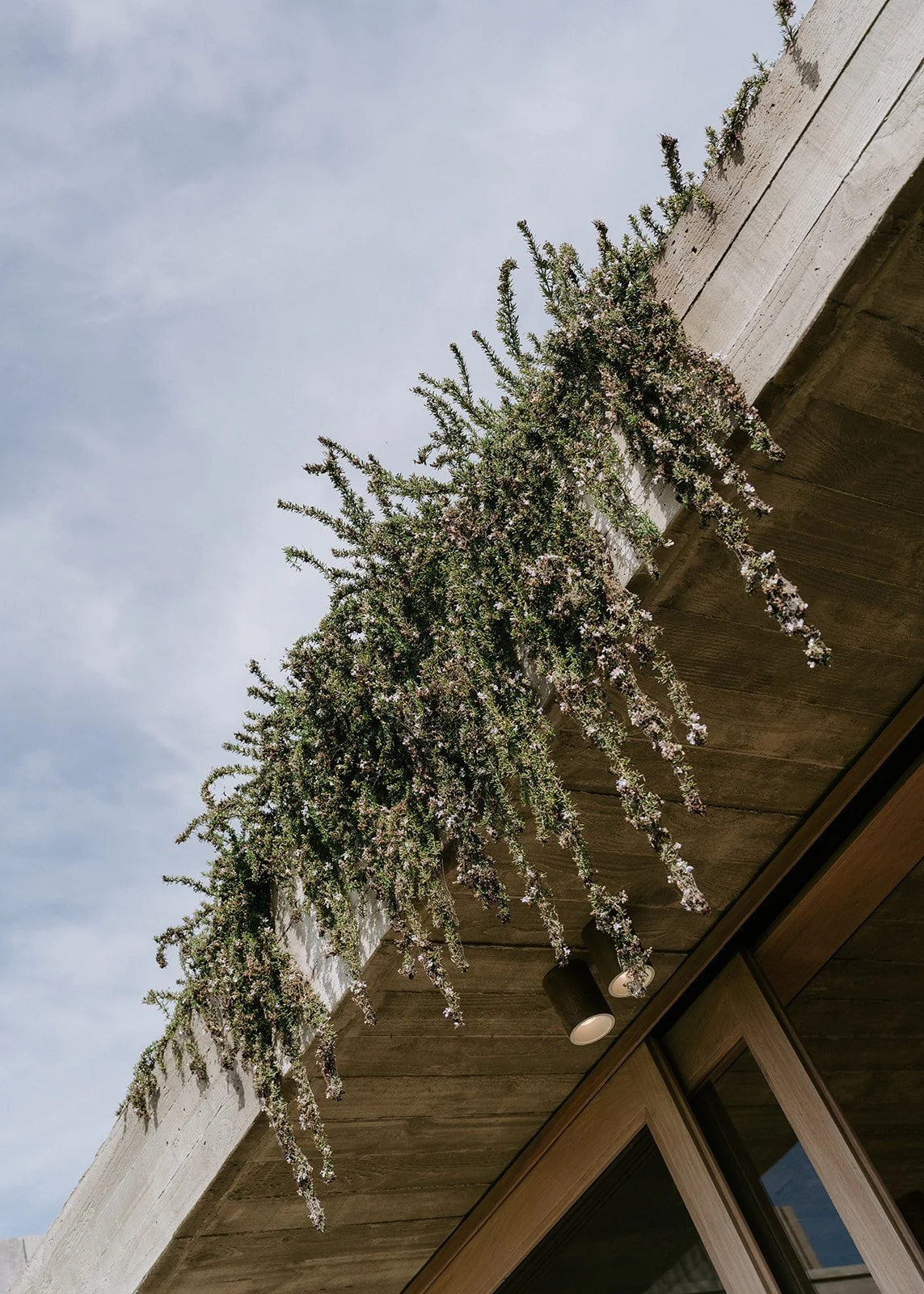 trailing-rosemary-timber-eave-detail.jpg