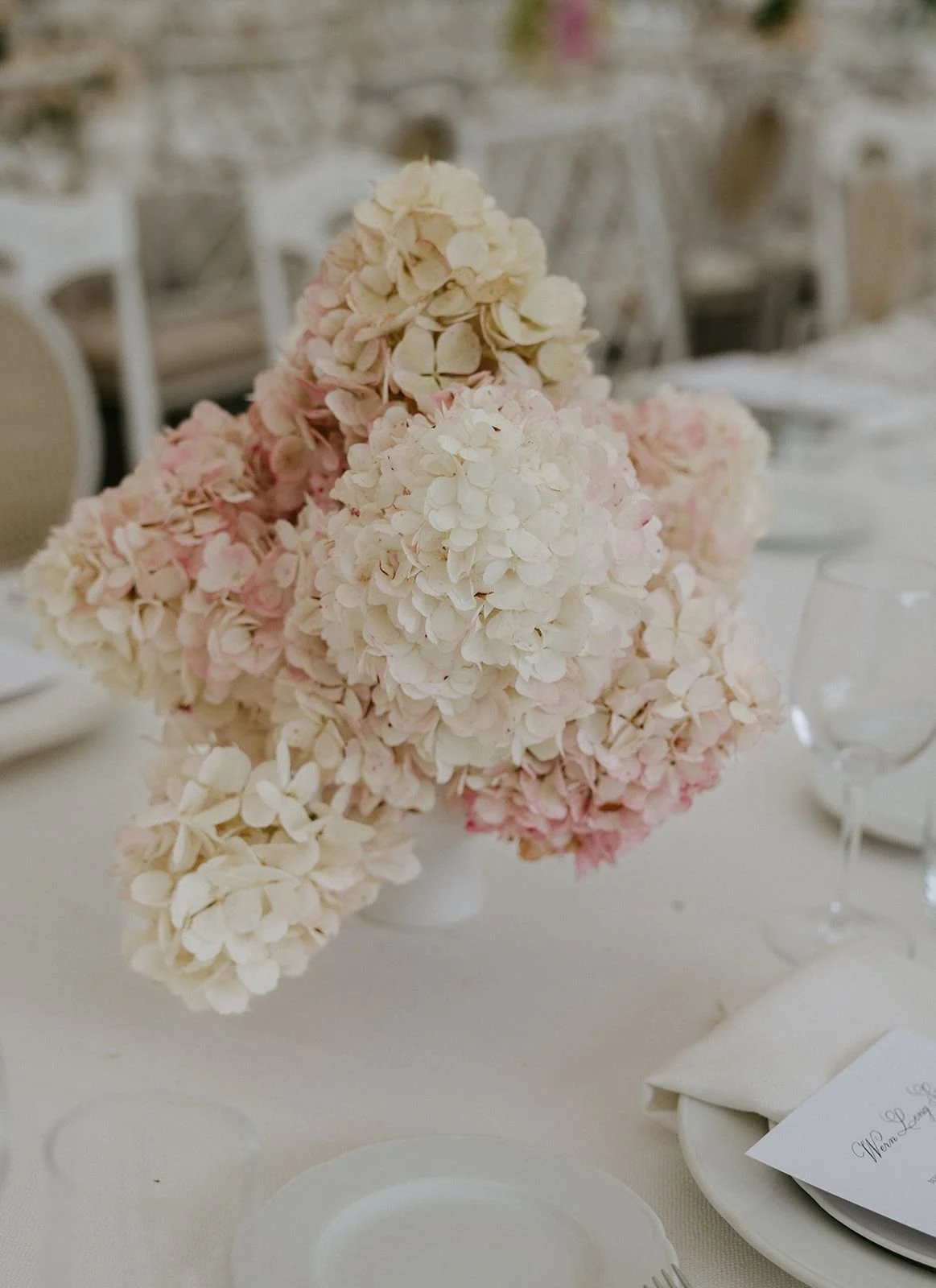 A floral centerpiece featuring large, clustered white and light pink hydrangea flowers on a table set for a formal event.