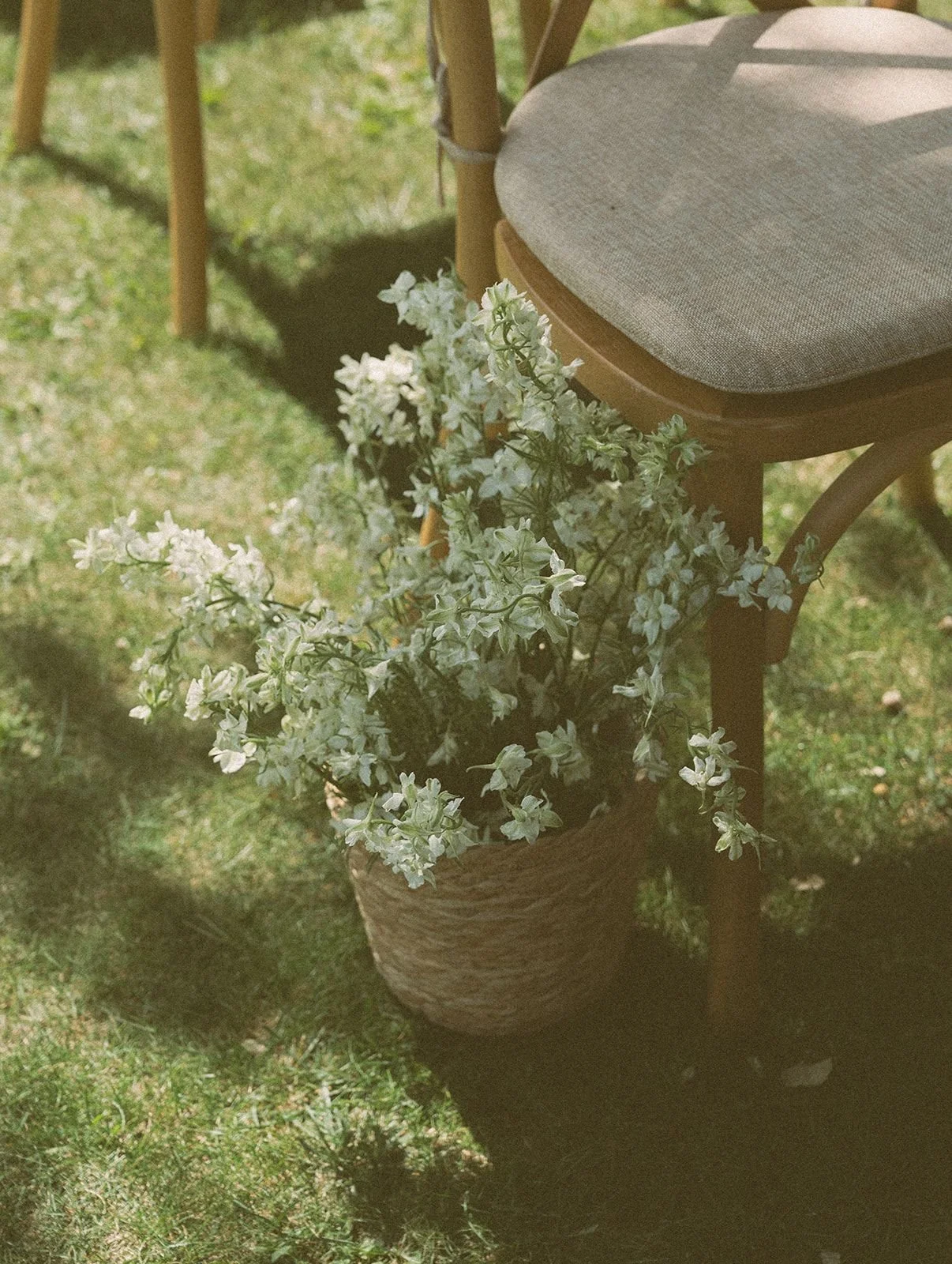 A potted plant with white flowers sitting on grass next to a wooden chair with a cushioned seat.