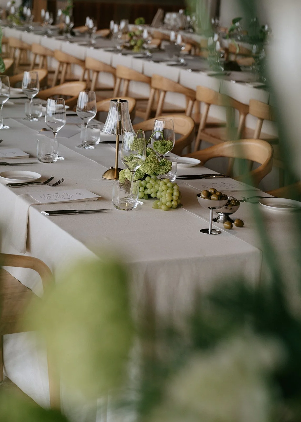 A long dinner table set for an event with wine glasses, cutlery, napkins, a small lamp, green plants, grapes, and olives, with wooden chairs and a white backdrop.