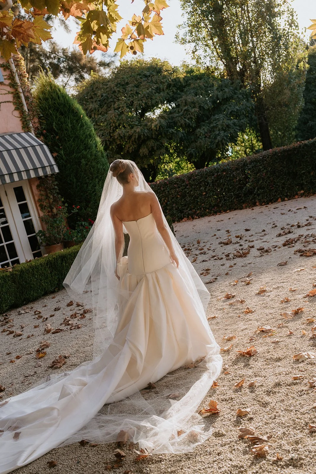 bride-cathedral-veil-garden-walk.jpg