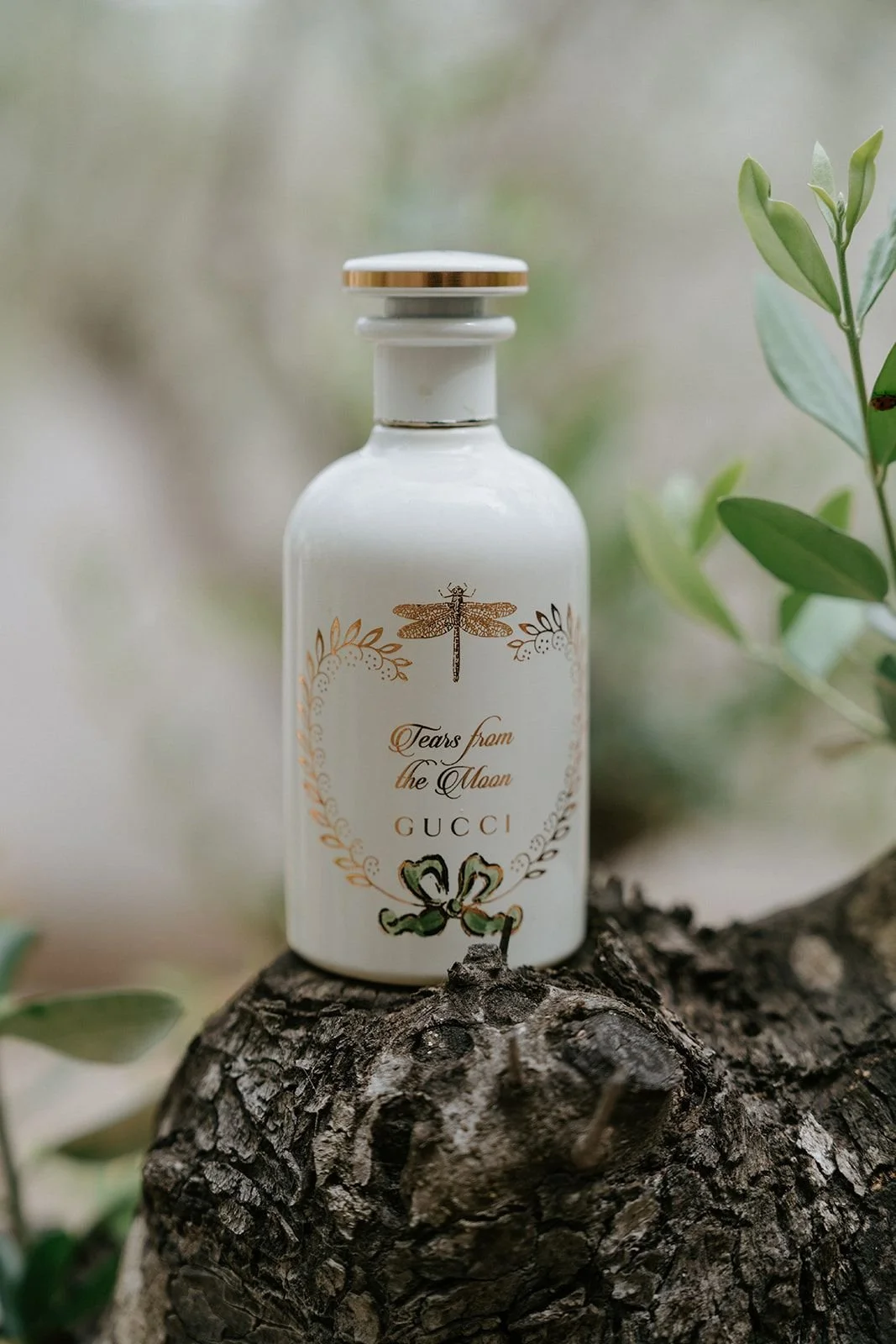 A white bottle with a gold and black design, featuring a dragonfly illustration and the text 'Tears from the Moon GUCi', resting on a textured tree trunk with green leaves around it.