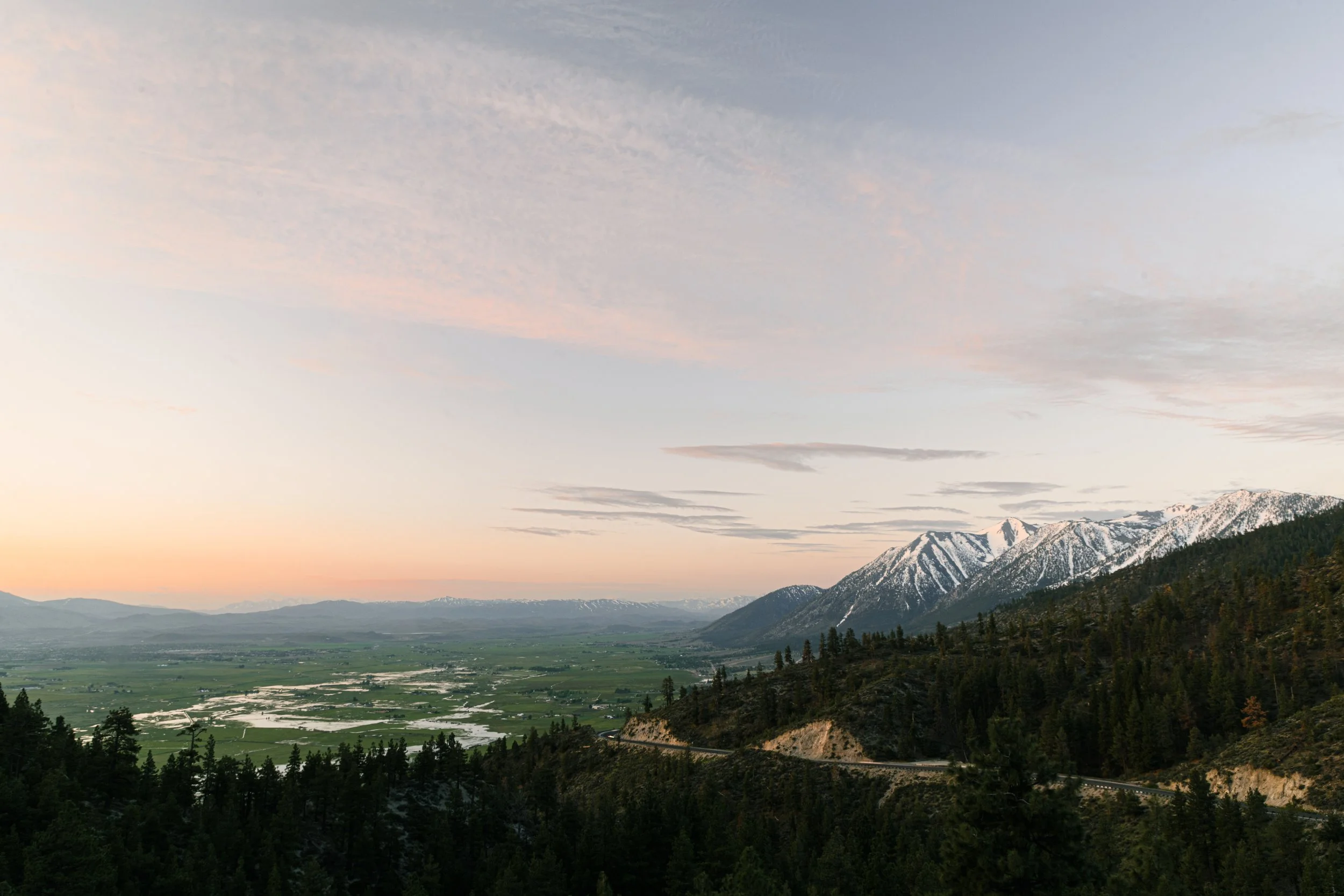 Sunrise view of snow-capped mountains, green valley light flooding, and dense evergreen forest in the foreground.