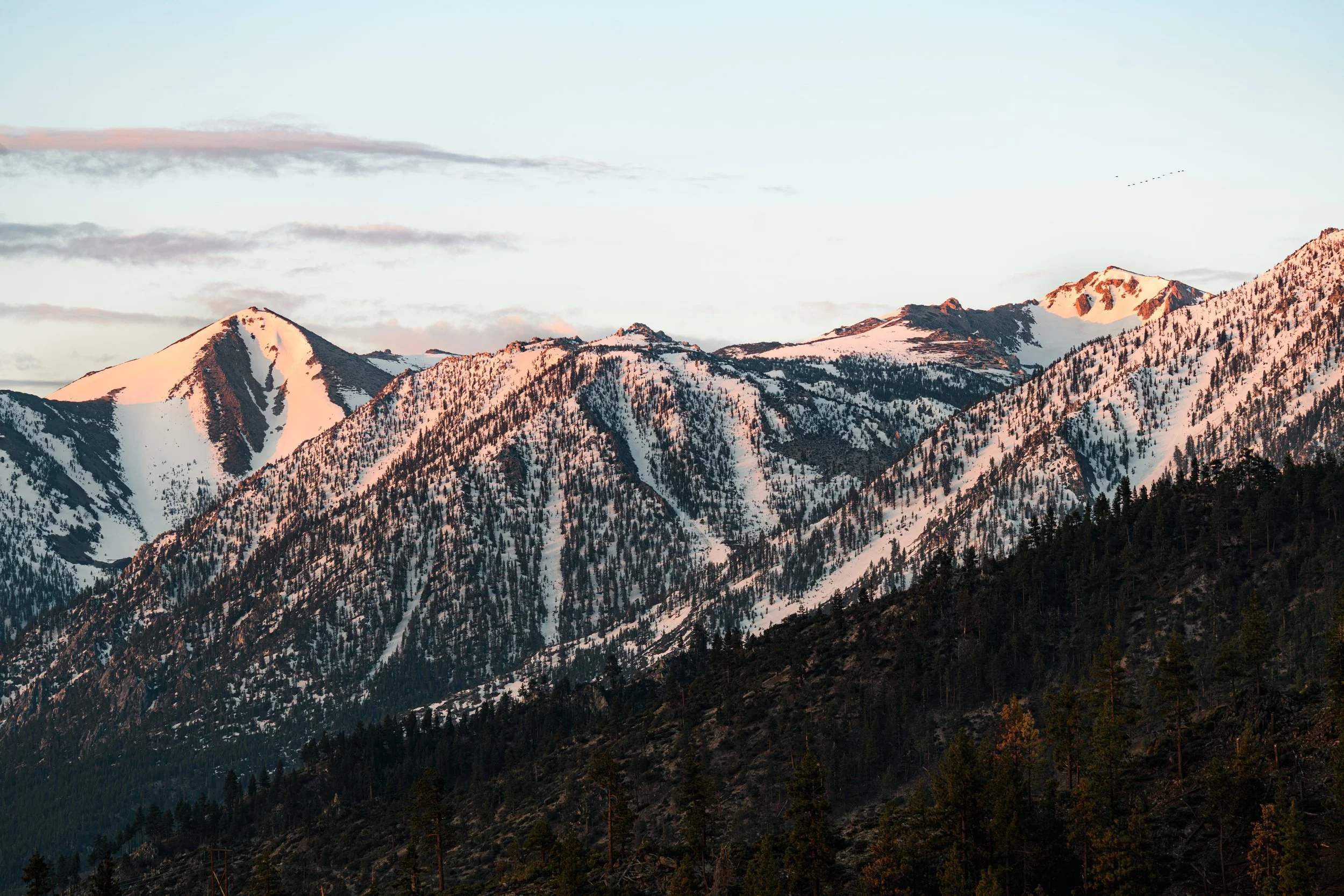 Snow-capped mountain range with pine trees at the base, under a partly cloudy sky.