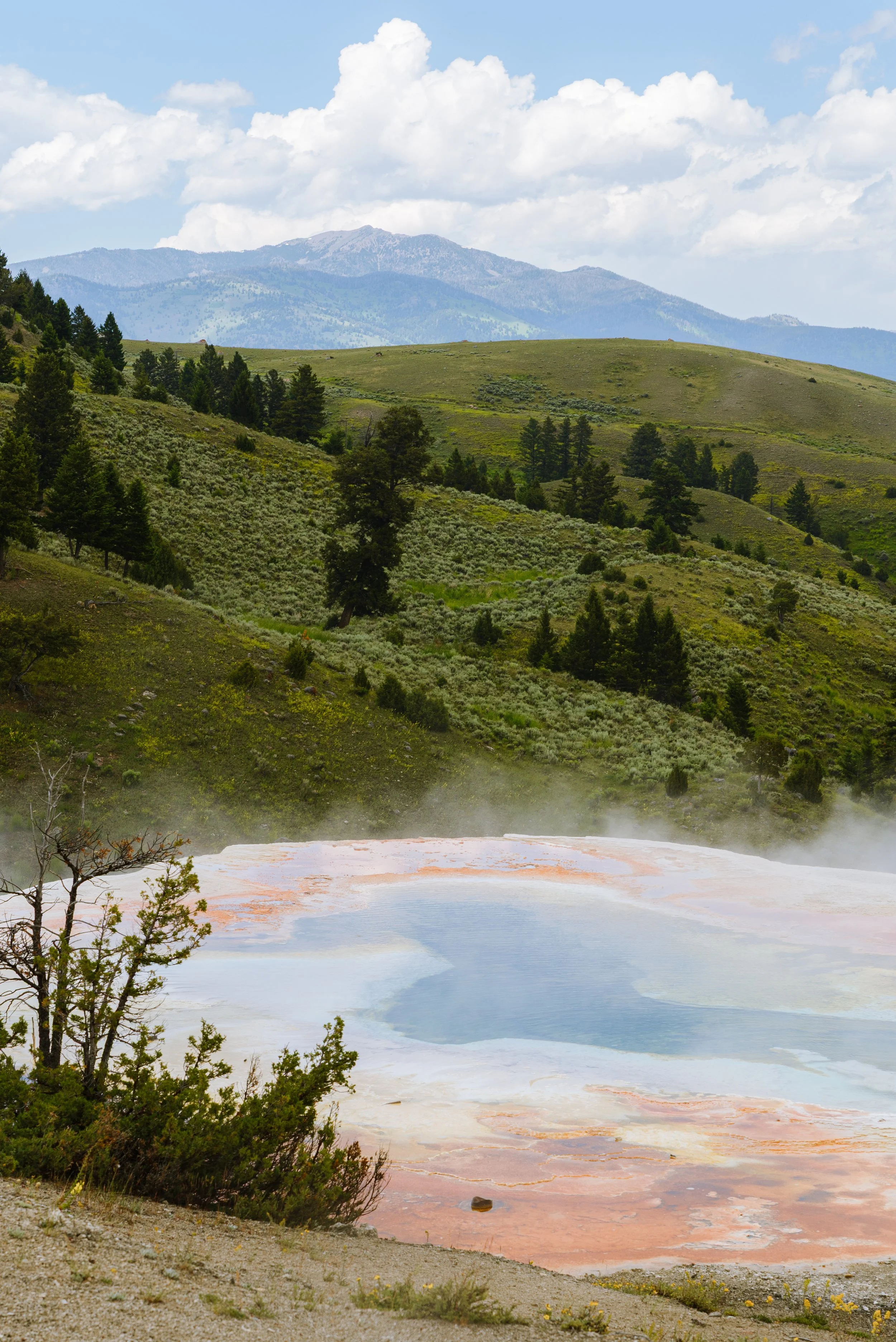 A hot spring with colorful mineral deposits in a green mountain landscape under a partly cloudy sky.