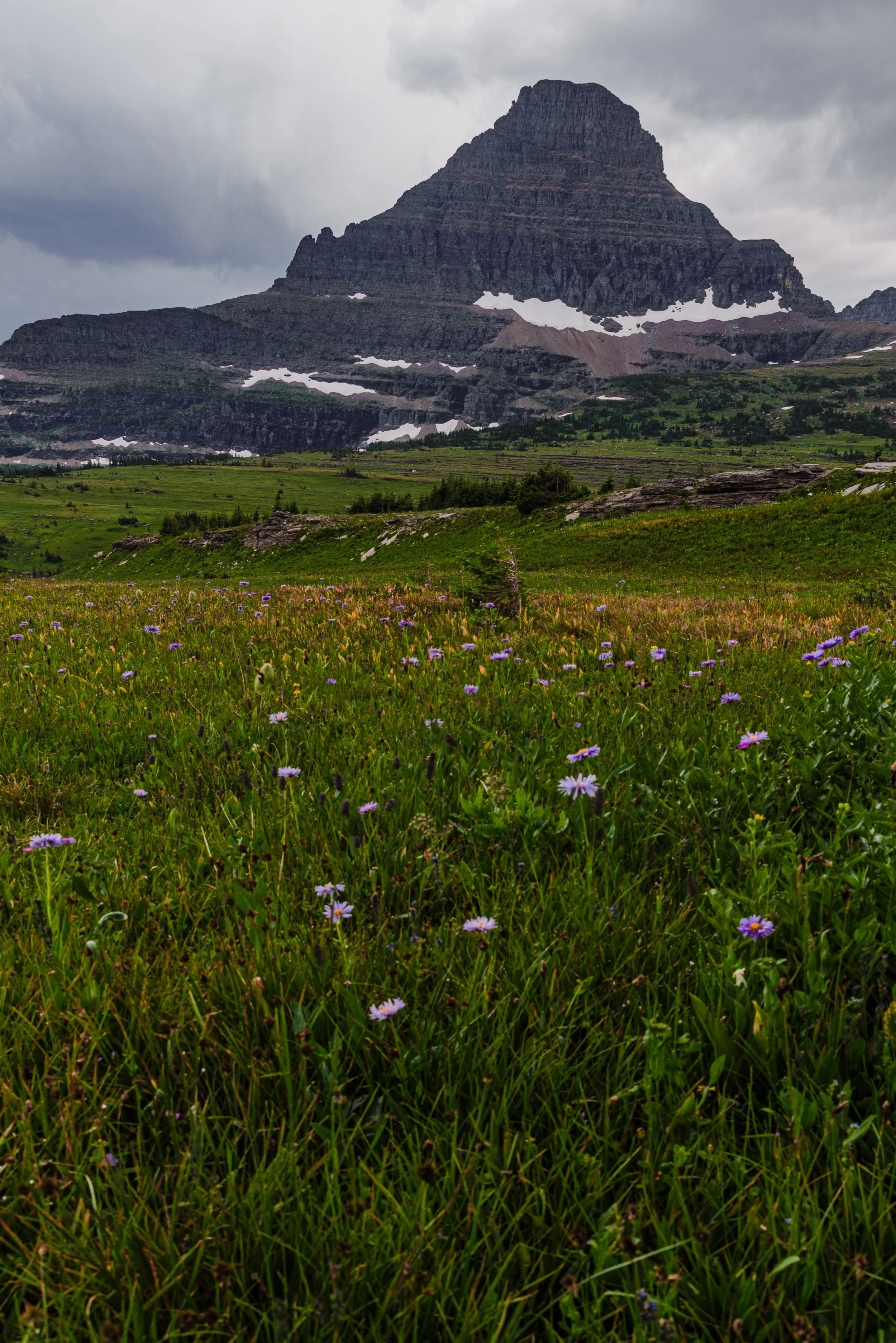 A mountainous landscape with a green meadow in the foreground dotted with purple wildflowers, a series of rocky ledges, and a large, rugged mountain peak partially covered with snow under a cloudy sky.