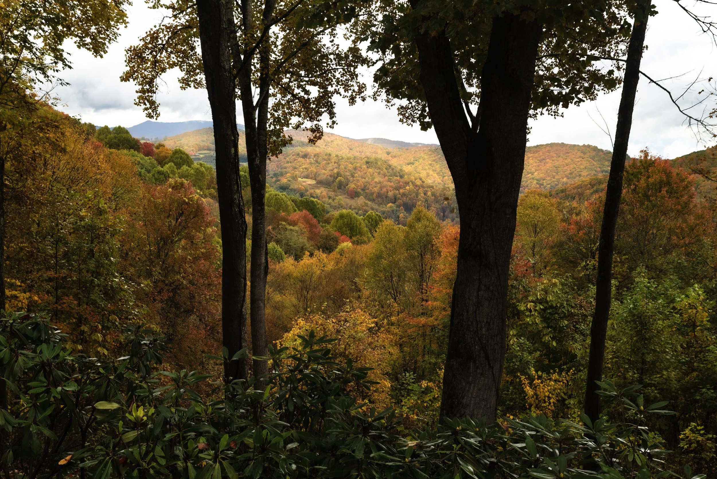 A scenic view of a forested mountain range with trees showing fall foliage in shades of green, orange, and yellow, under a cloudy sky.