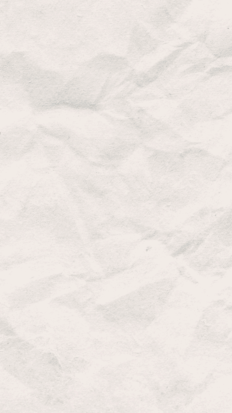 PB_animacion_Vertical-ezgif.com-video-to-gif-converter (1).gif