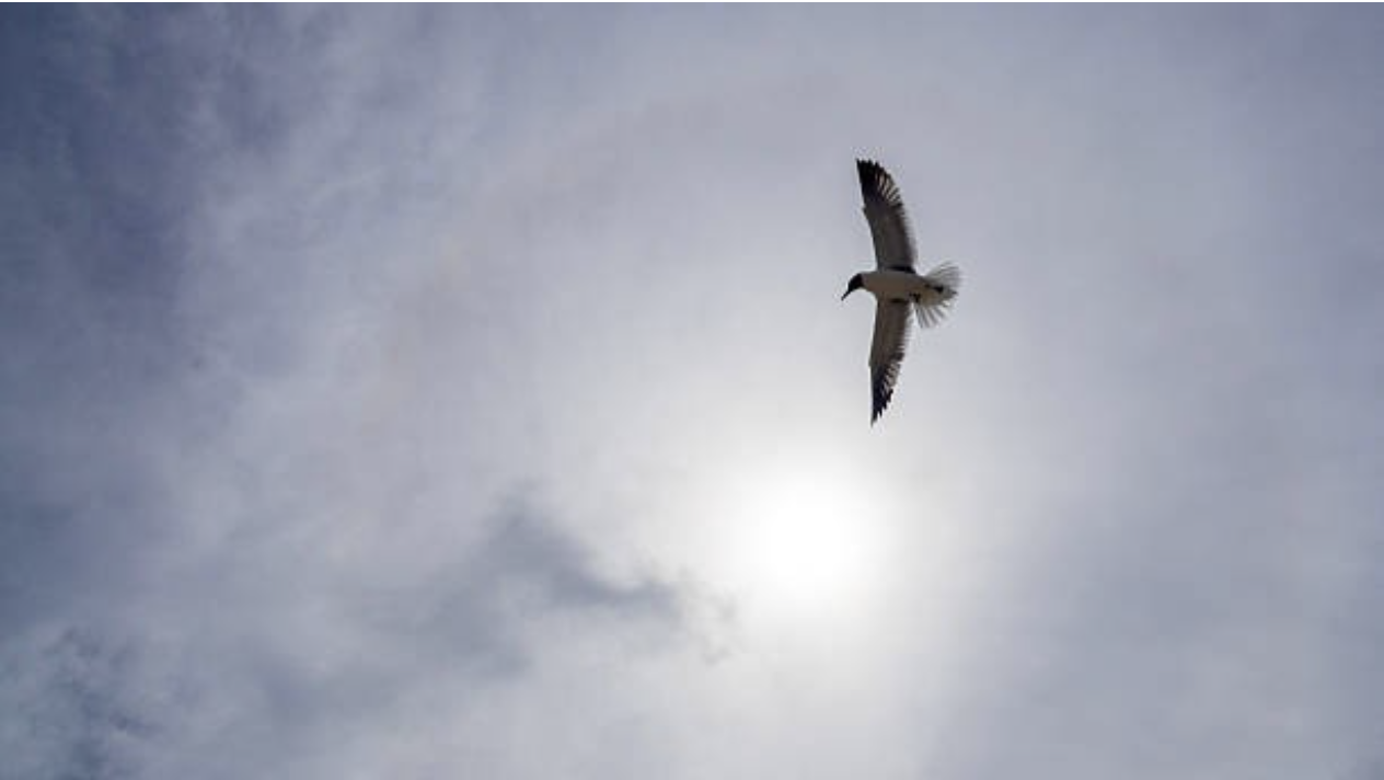 People Who Leave, People Who Stay