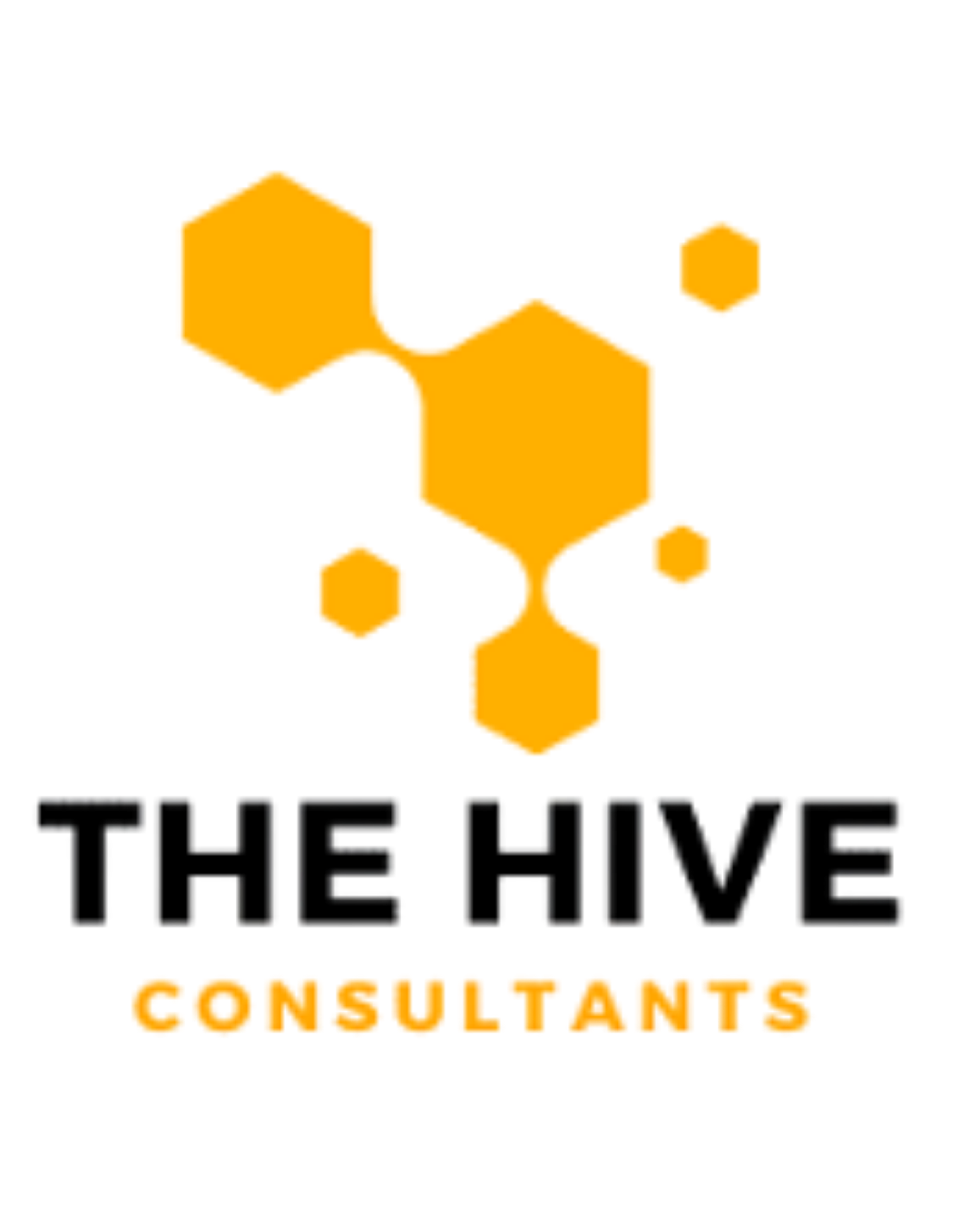 The Hive Consultants | Rashmi Dixit Enterprises LLC