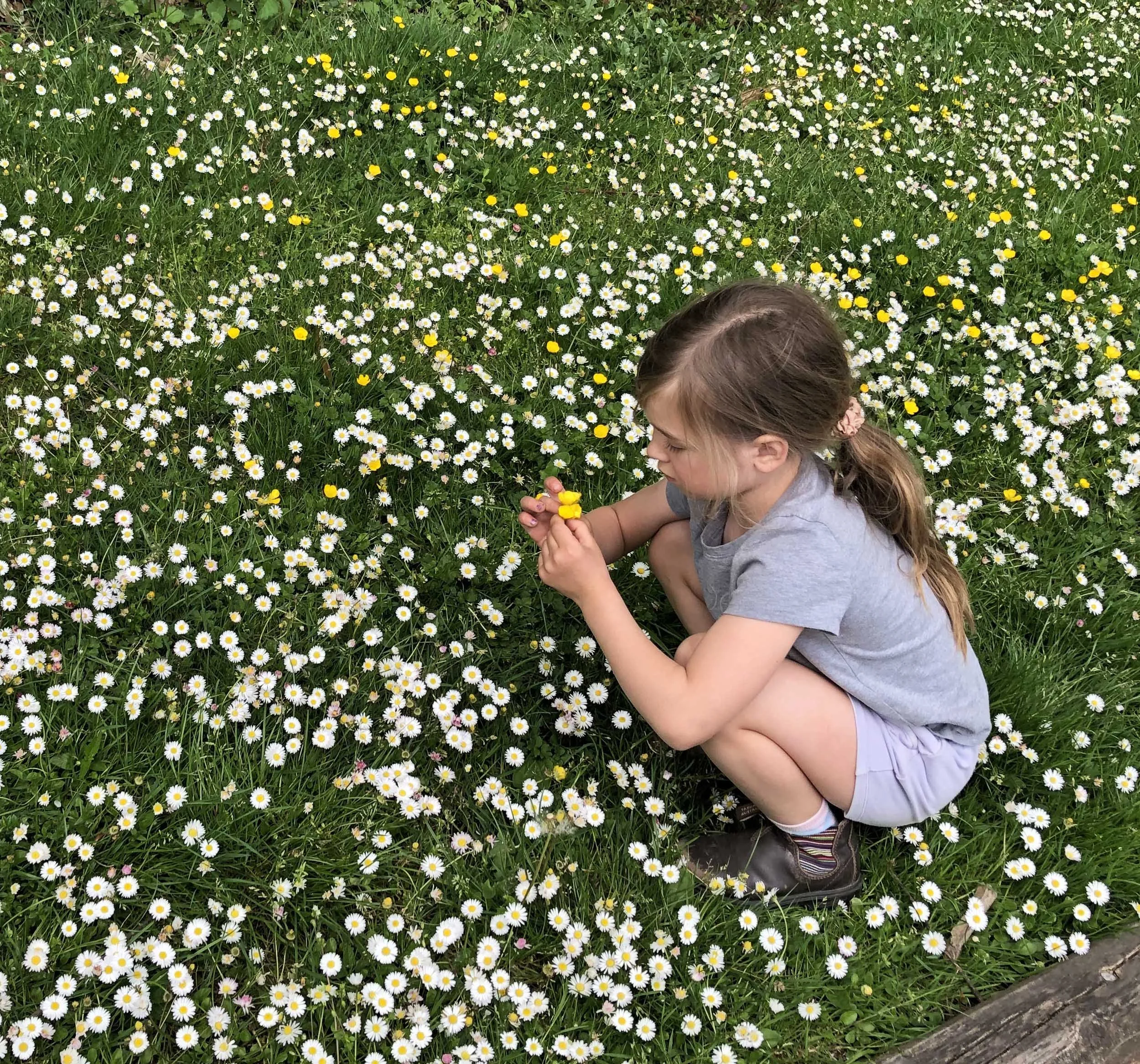 A young girl with brown hair sitting on grass surrounded by daisies and yellow wildflowers, holding a yellow flower in her hands.