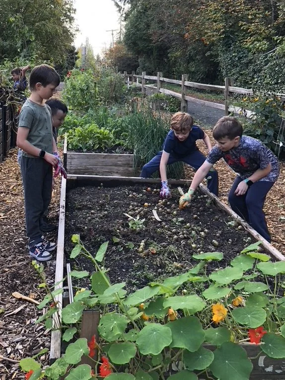 A group of children working together in a garden bed, planting or harvesting vegetables, with a flower bed featuring large green leaves and orange flowers in the foreground.