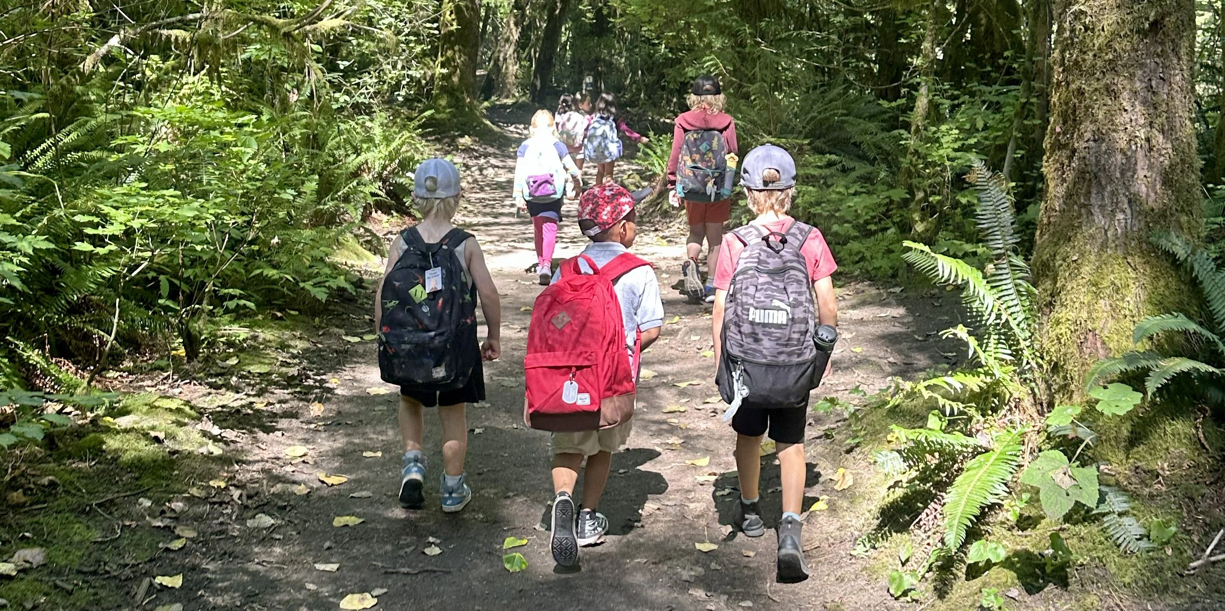 Children hiking through a lush, green forest near Seymour Heights in North Vancouvewr, wearing backpacks and hats.