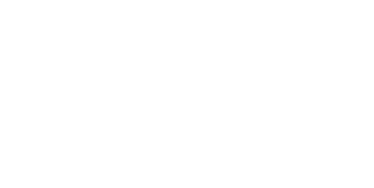 A black and white logo with a starburst design on the left and the word "Spark" in bold letters on the right.