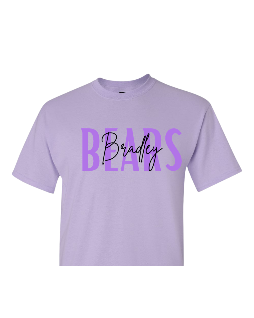 Bradley Bears Light Purple