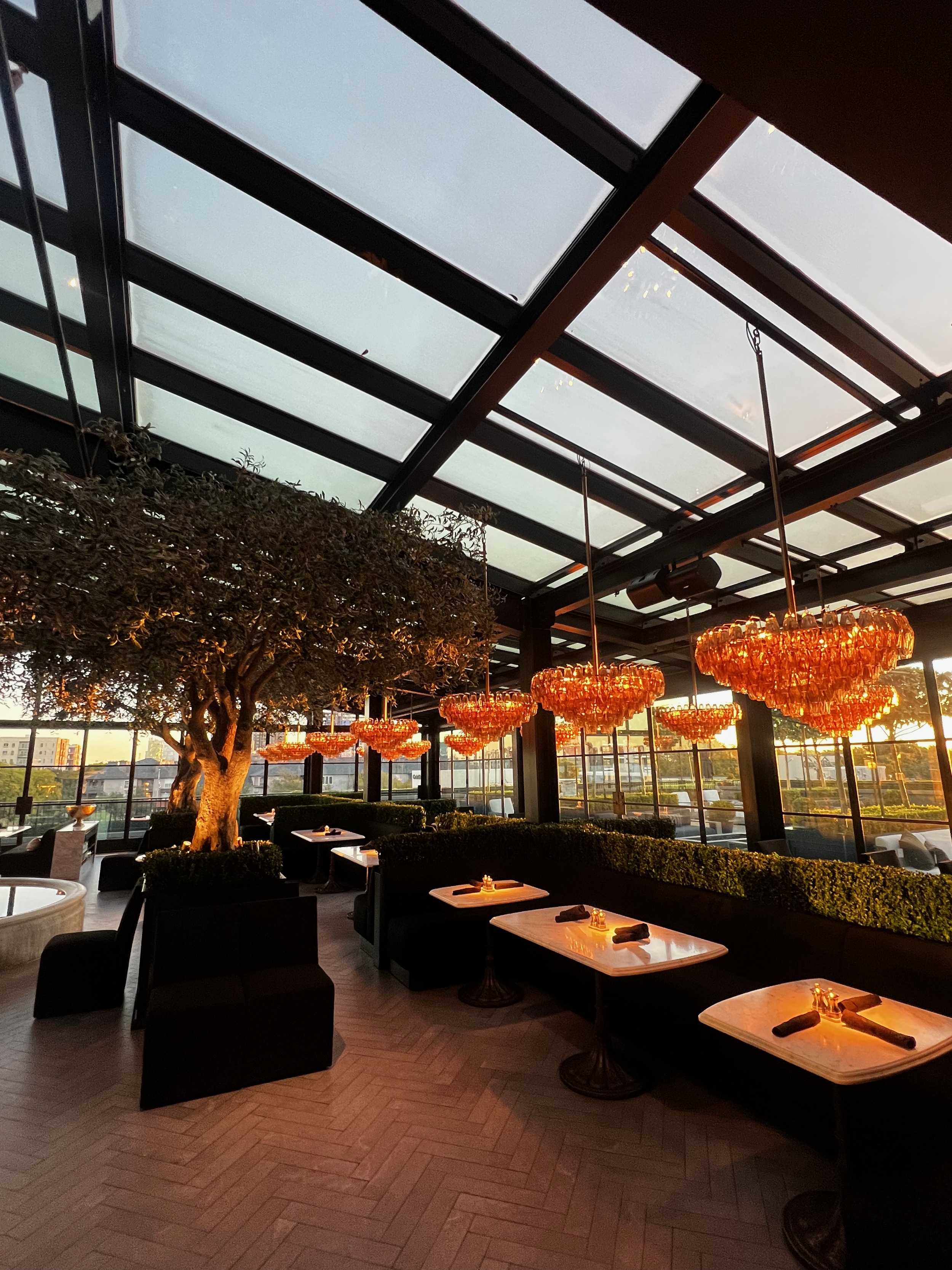 Interior of a restaurant with hanging orange chandeliers, a large indoor tree, and set tables with napkins and small candles, with windows showing an outdoor cityscape at sunset.
