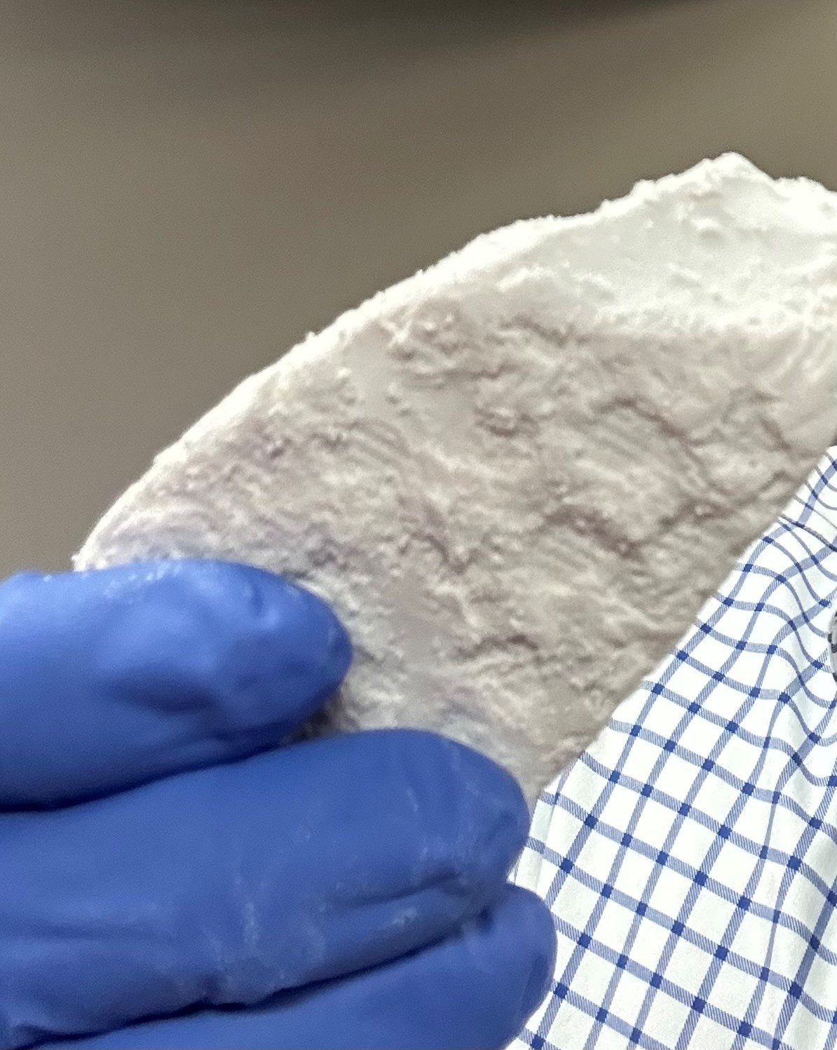Close-up of a gloved hand holding a round, flat, white textured carbonate clay piece.