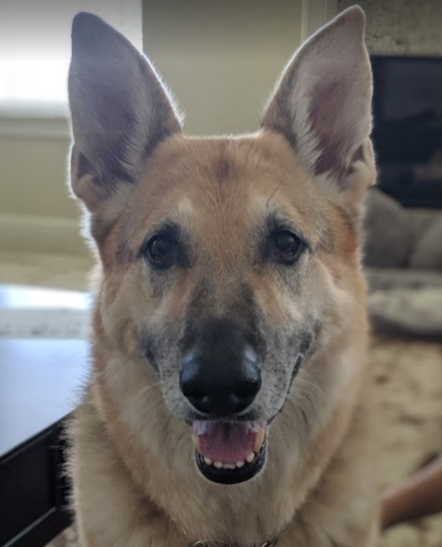 Charger Liypad Allen Marie