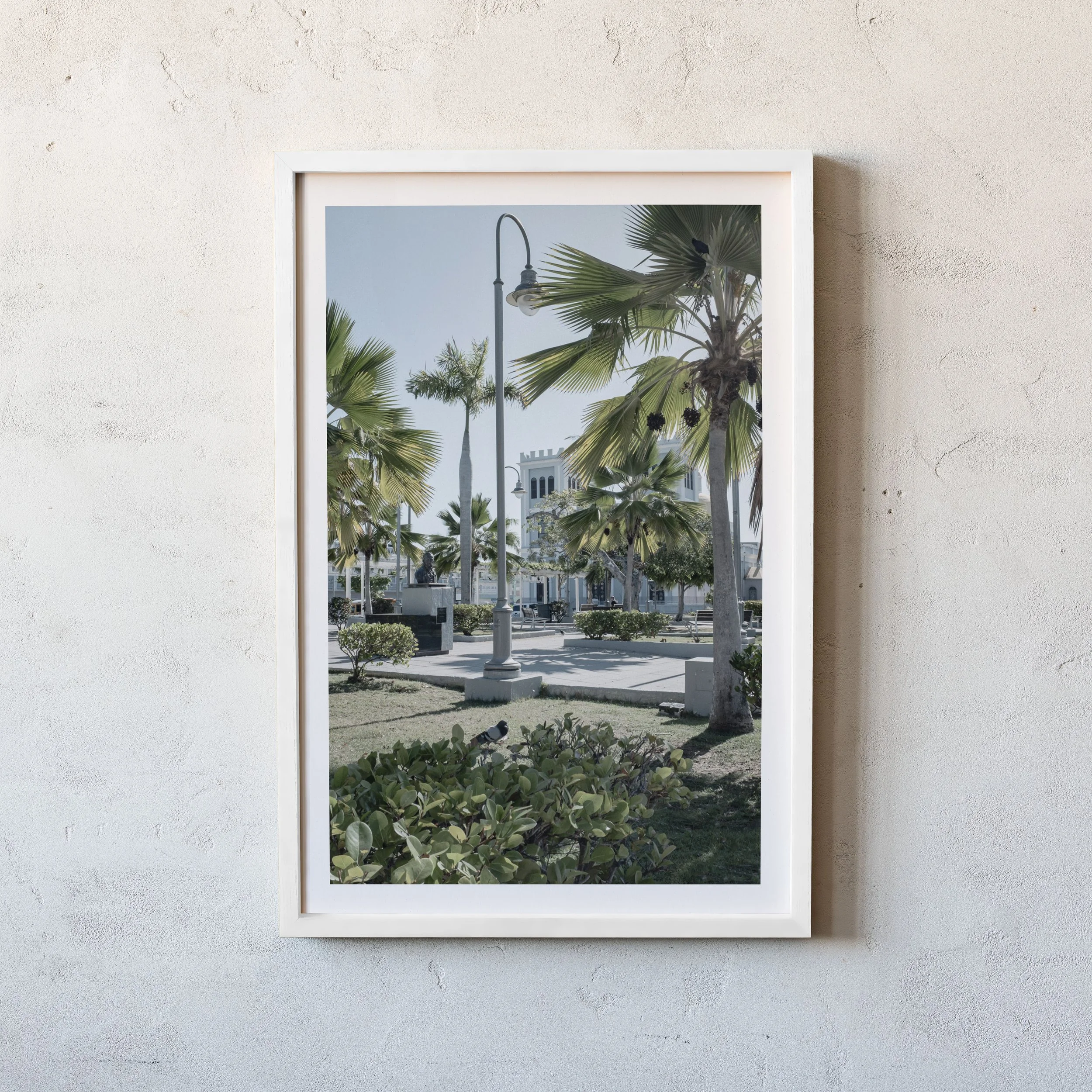 Island Morning_3.jpg